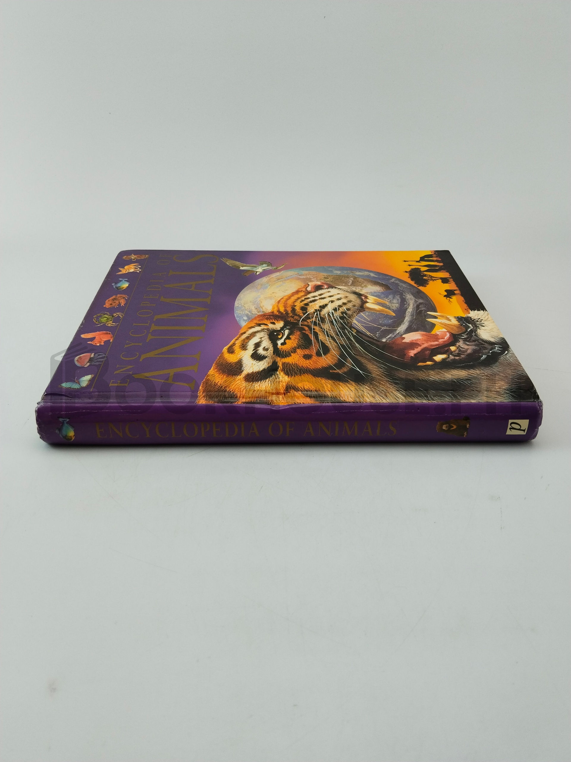 Encyclopedia Of Animals by Martin Walters, Jinny Johnson - Image 3