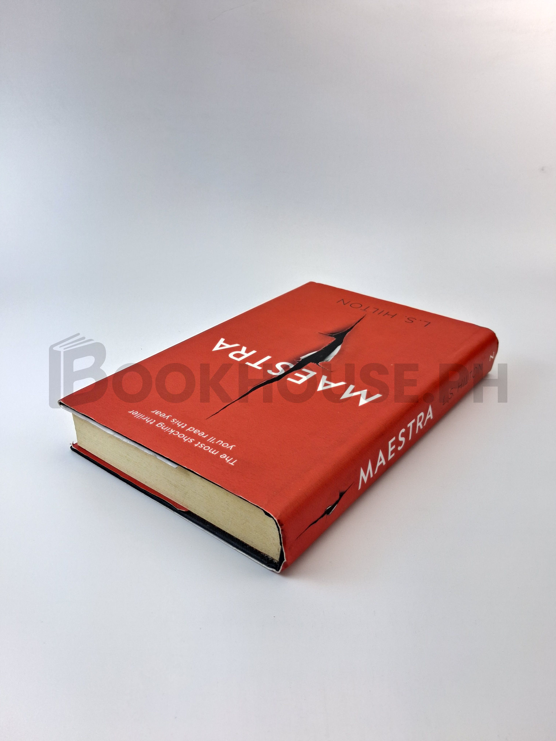 Maestra by L. S. Hilton - Image 2