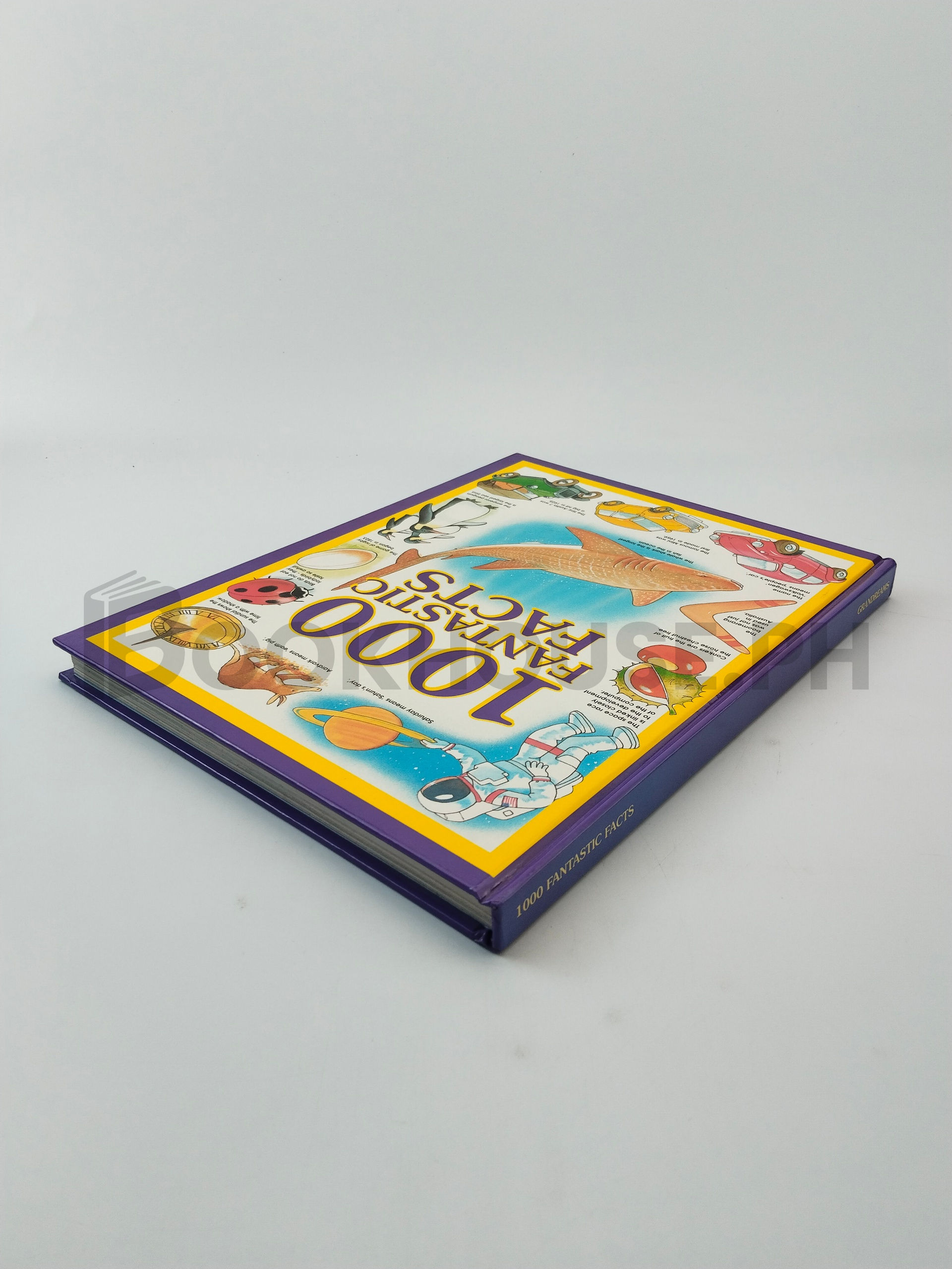 1000 Fantastic Facts by Grandreams Limited - Image 2