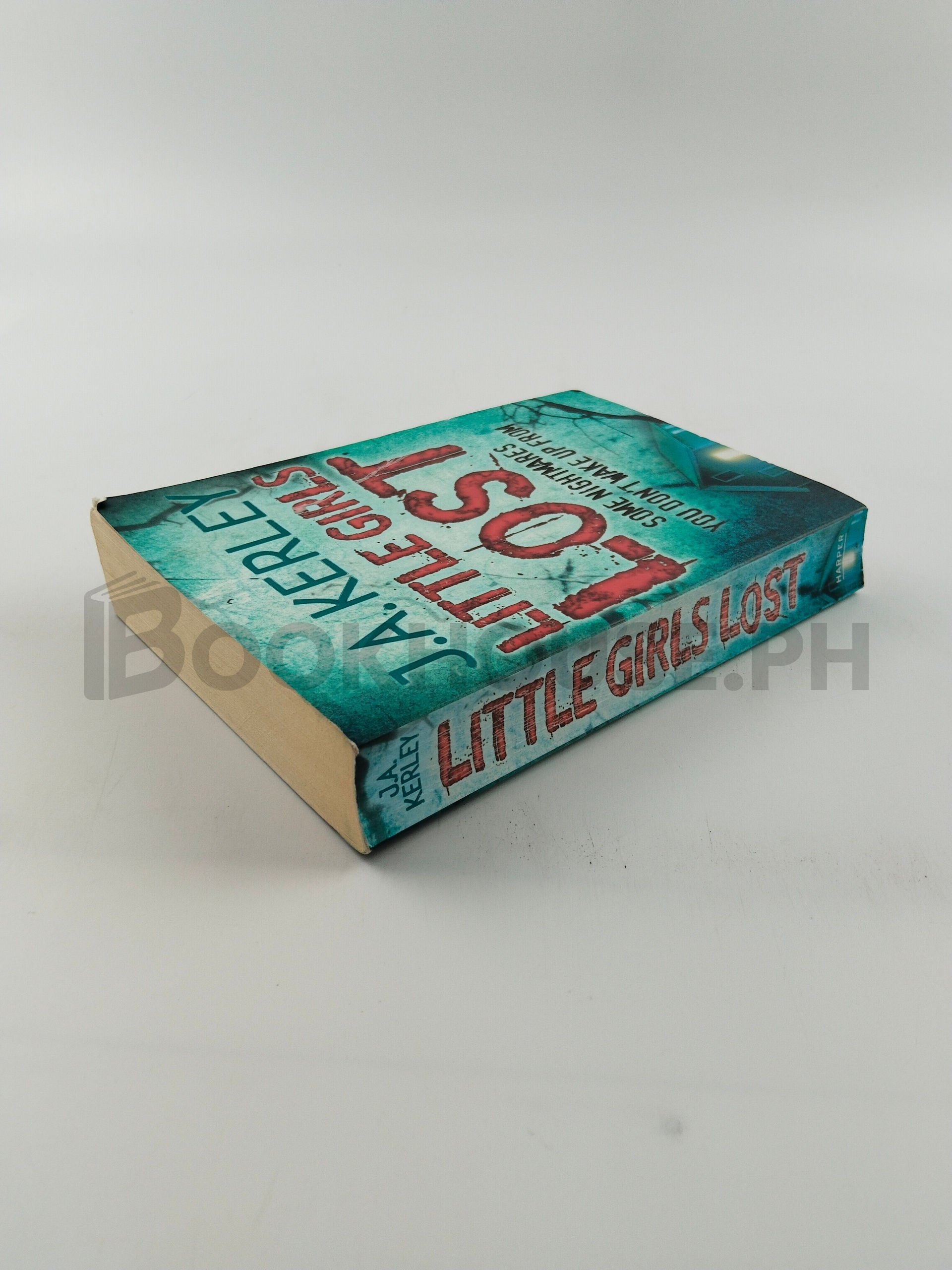 Little Girls Lost by Jack Kerley - Image 2