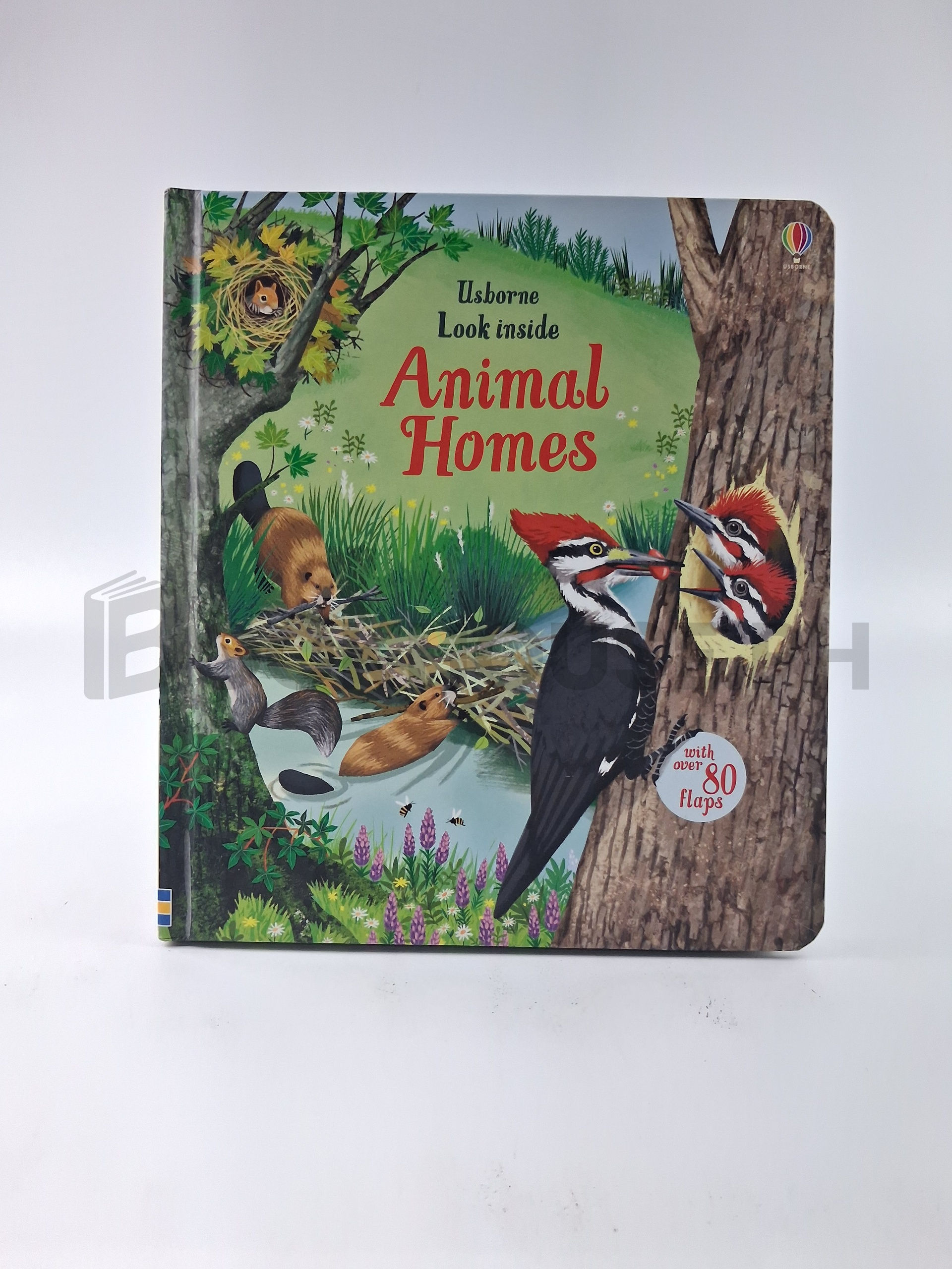 Look Inside Animal Homes by Emily Bone