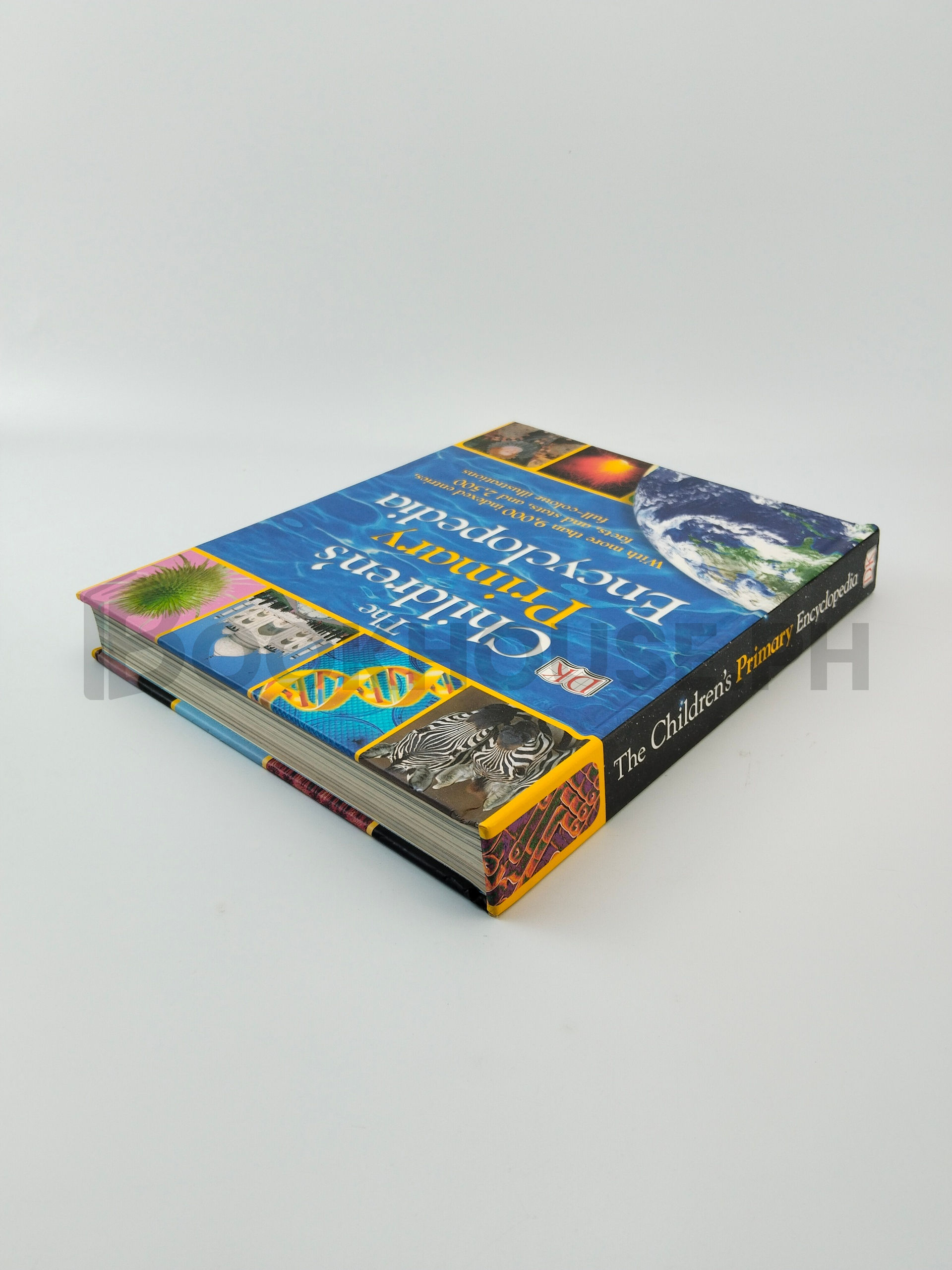 The Children's Primary Encyclopedia by Carrie Love, Caroline Stamps - Image 2