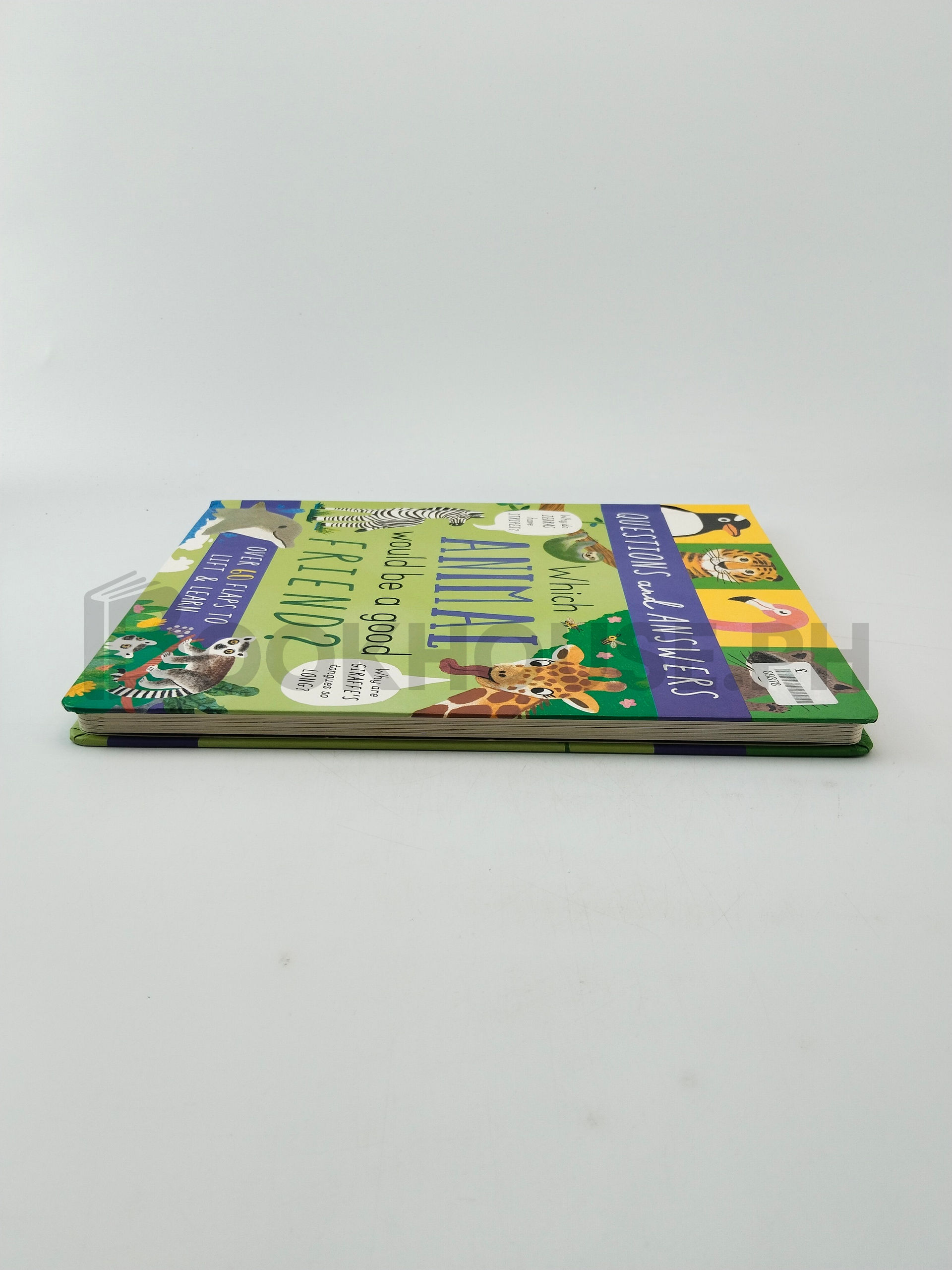 Which Animal Would Be A Good Friend? by Rachel Moss, Hui Yuan Chang - Image 4