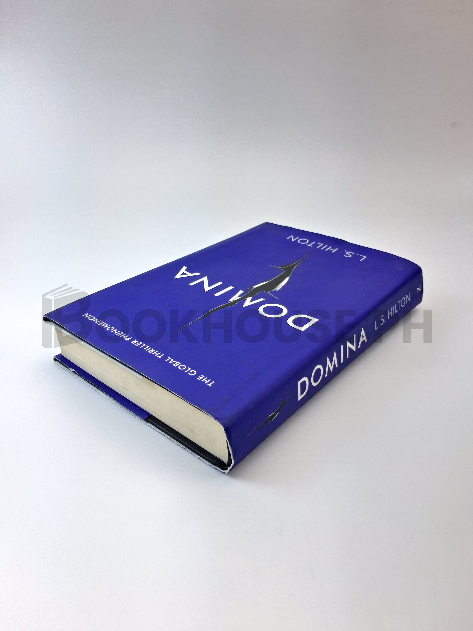 Domina by L. S. Hilton - Image 2