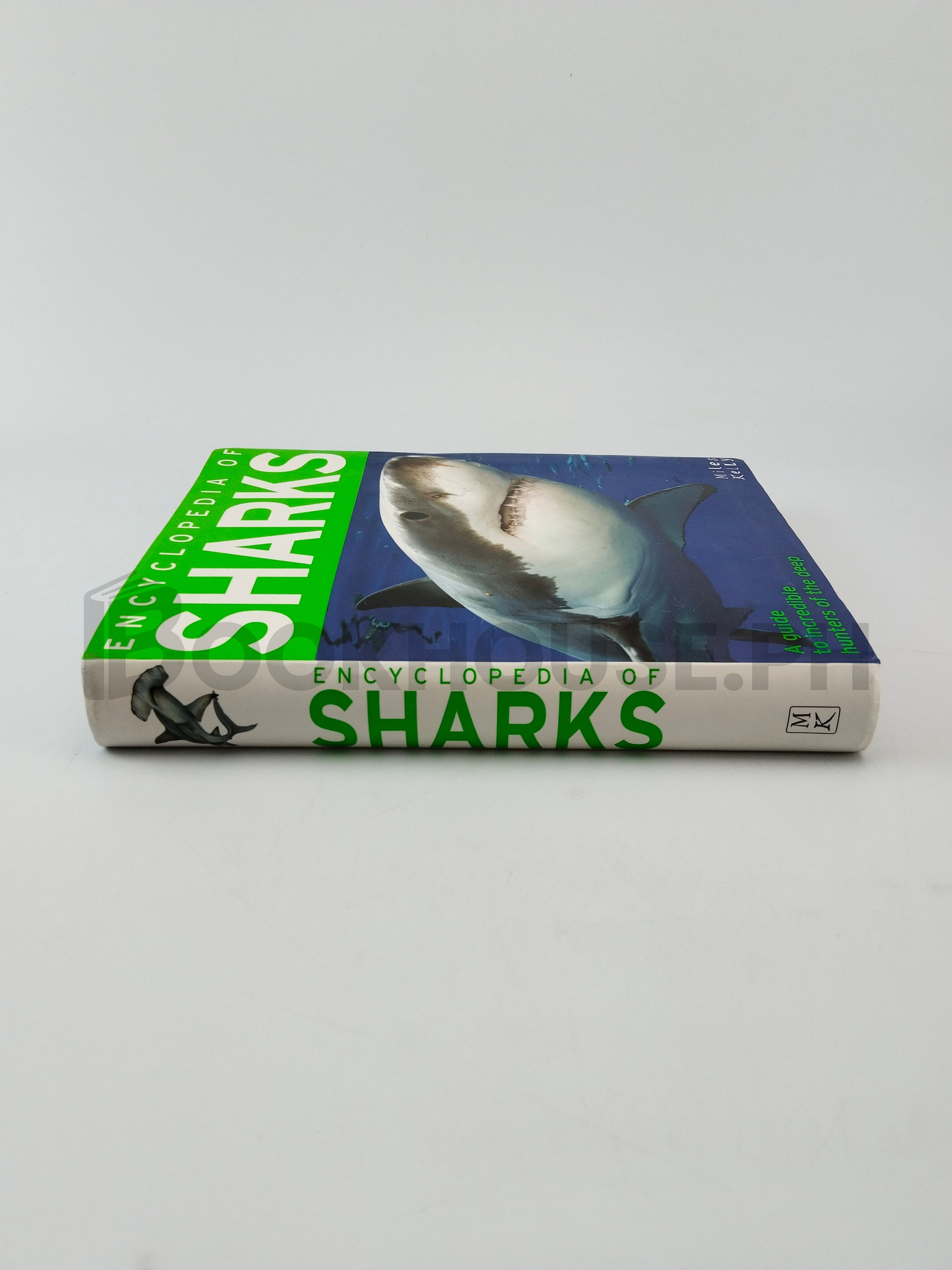 Encyclopedia Of Sharks by Anna Claybourne, Barbara Taylor - Image 3