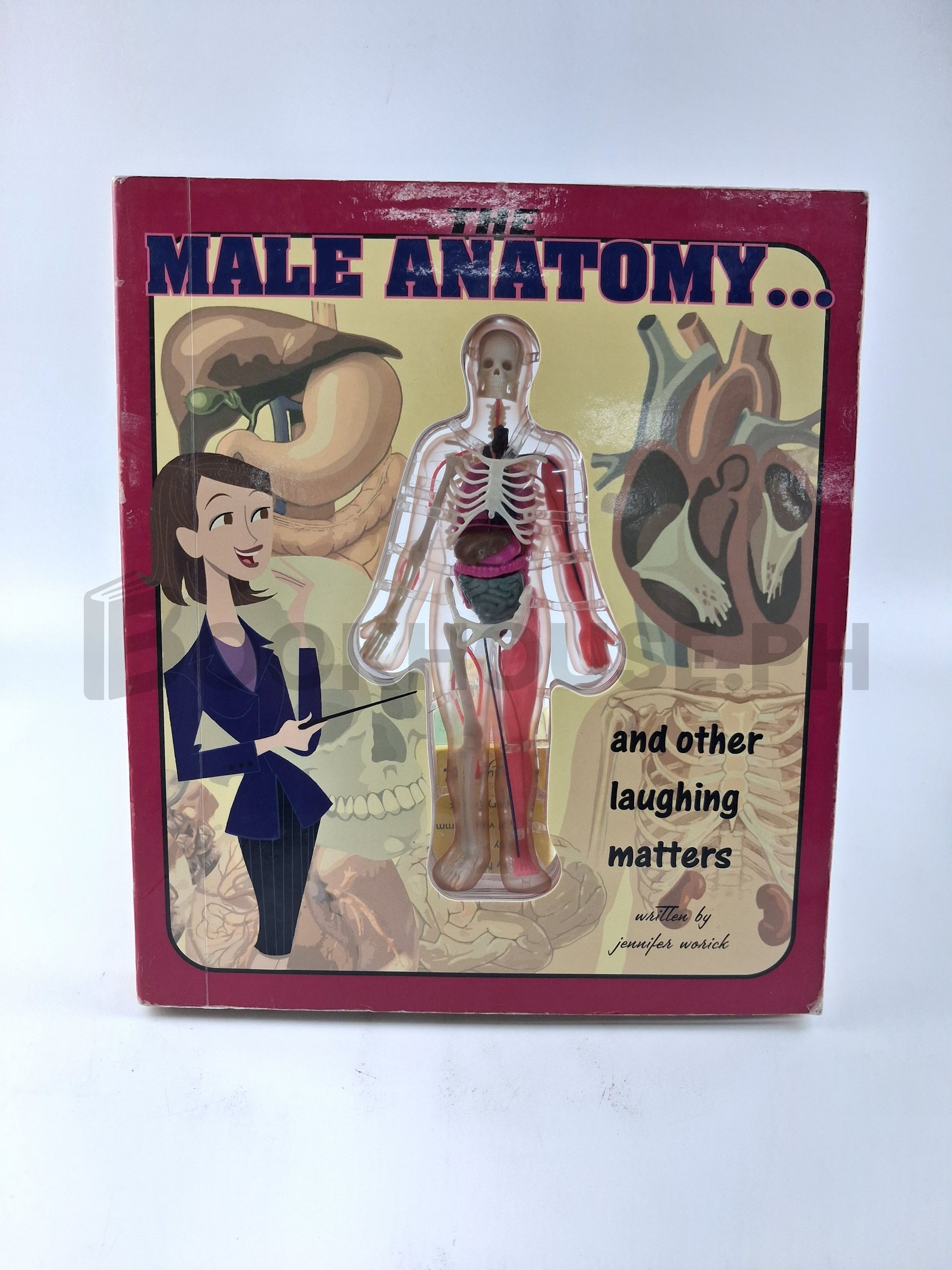 The Male Anatomy-- And Other Laughing Matters by Jennifer Worick
