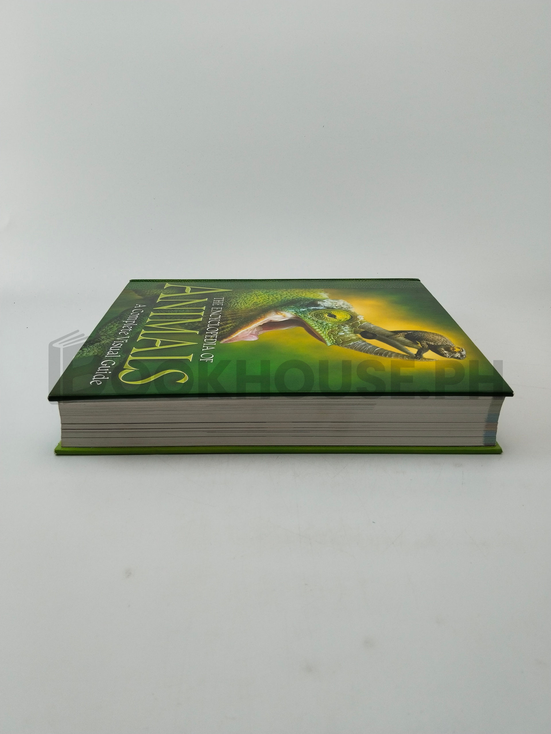 The Encyclopedia Of Animals by Unknown Uk Publisher - Image 4