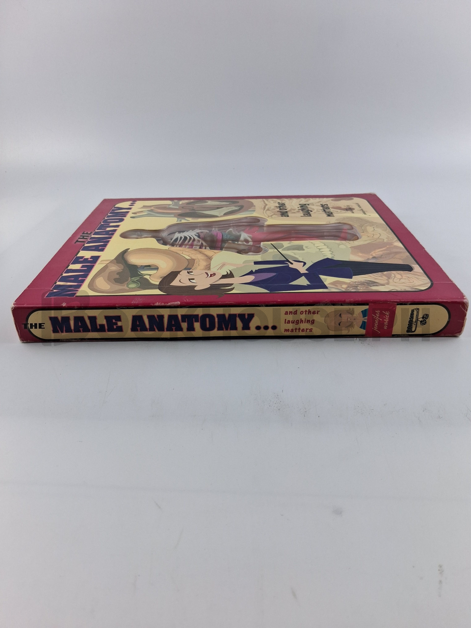 The Male Anatomy-- And Other Laughing Matters by Jennifer Worick - Image 3