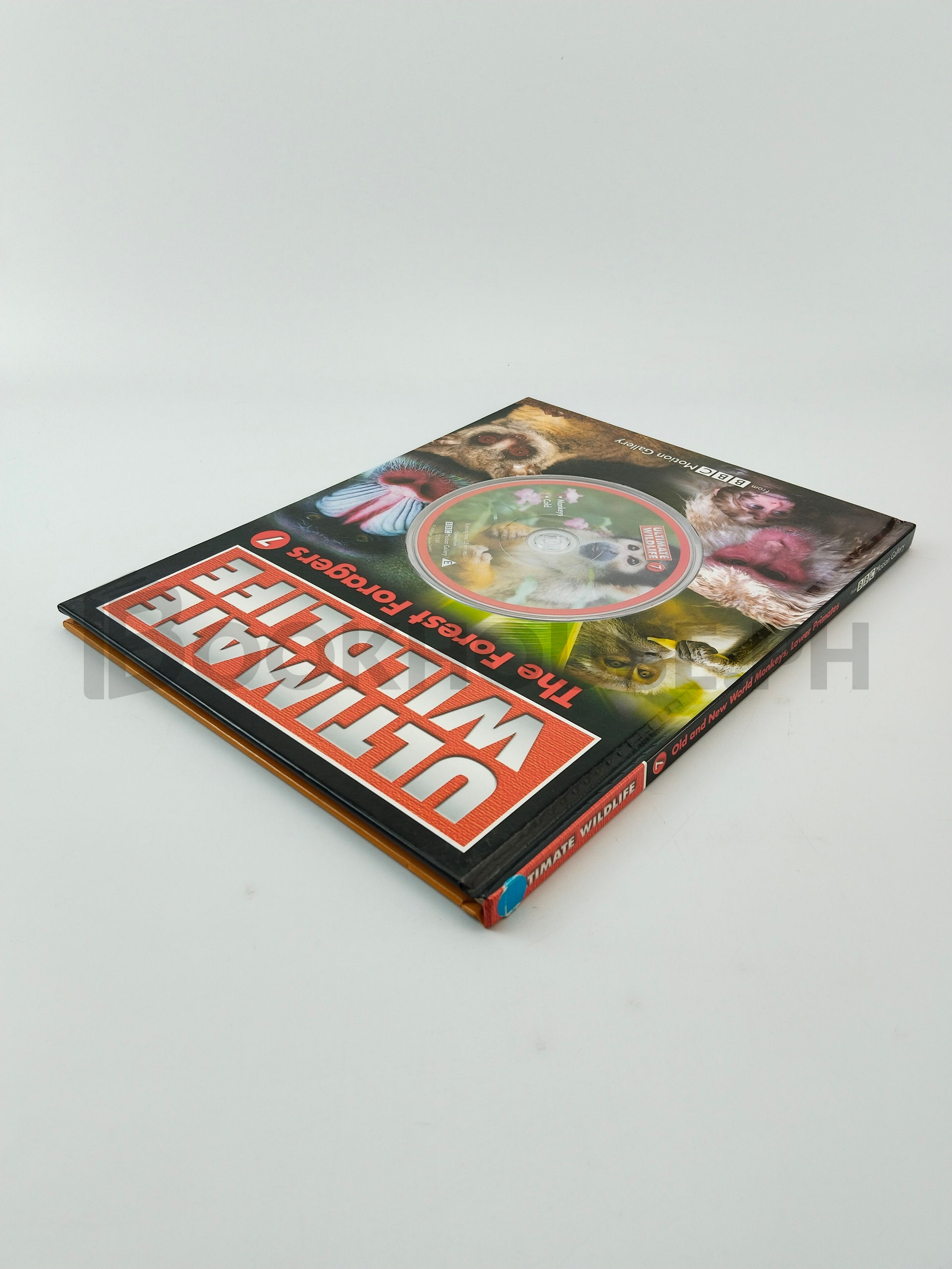 Ultimate Wildlife The Forest Foragers by Bbc Motion Gallery - Image 2