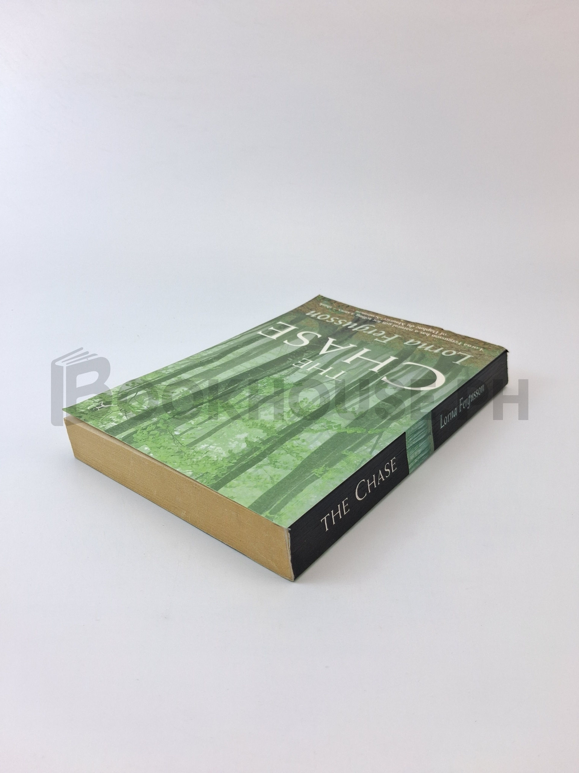 The Chase by Lorna Fergusson - Image 2