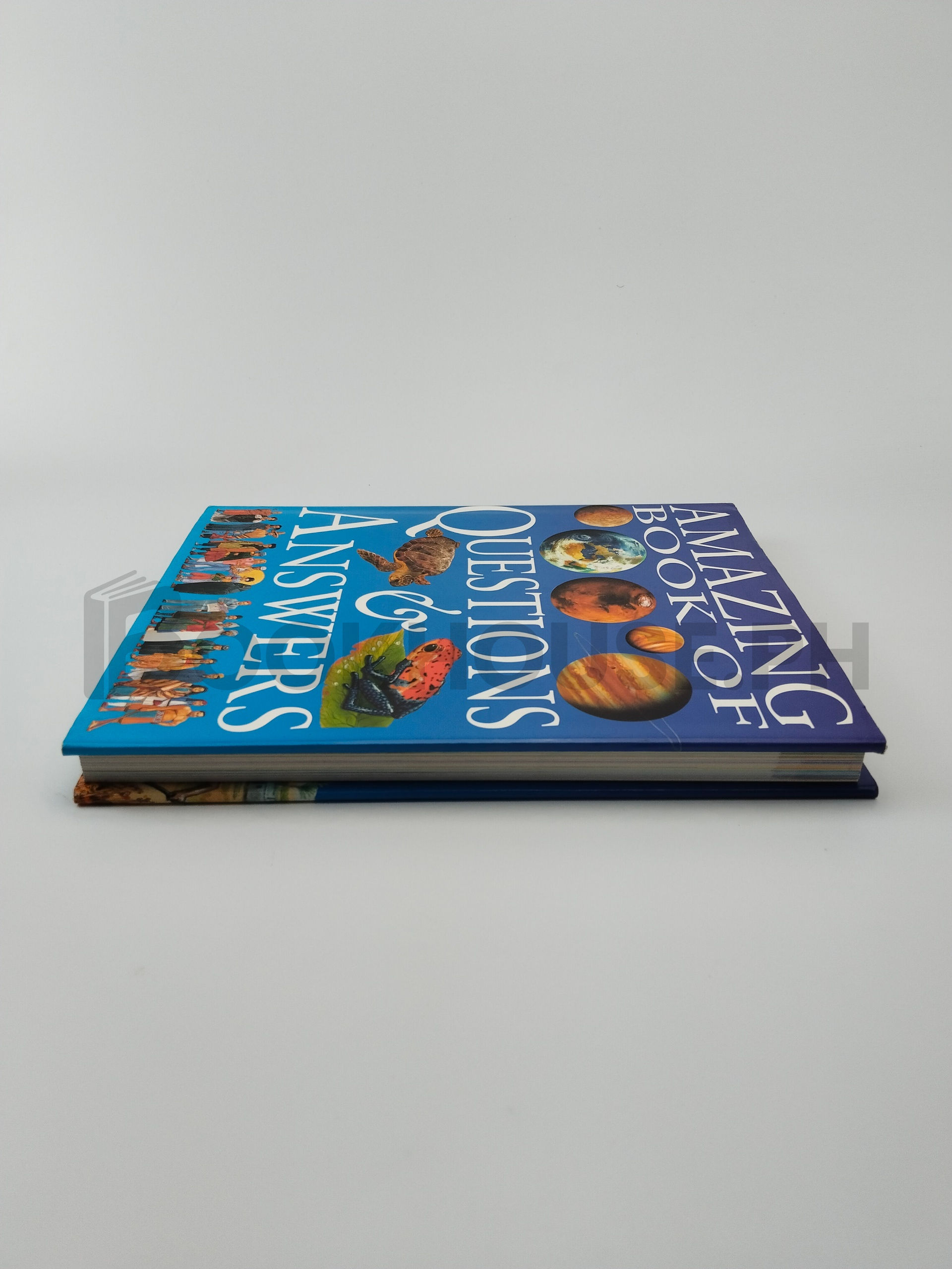 Amazing Book Of Questions & Answers by John Farndon, Angela Koo - Image 4