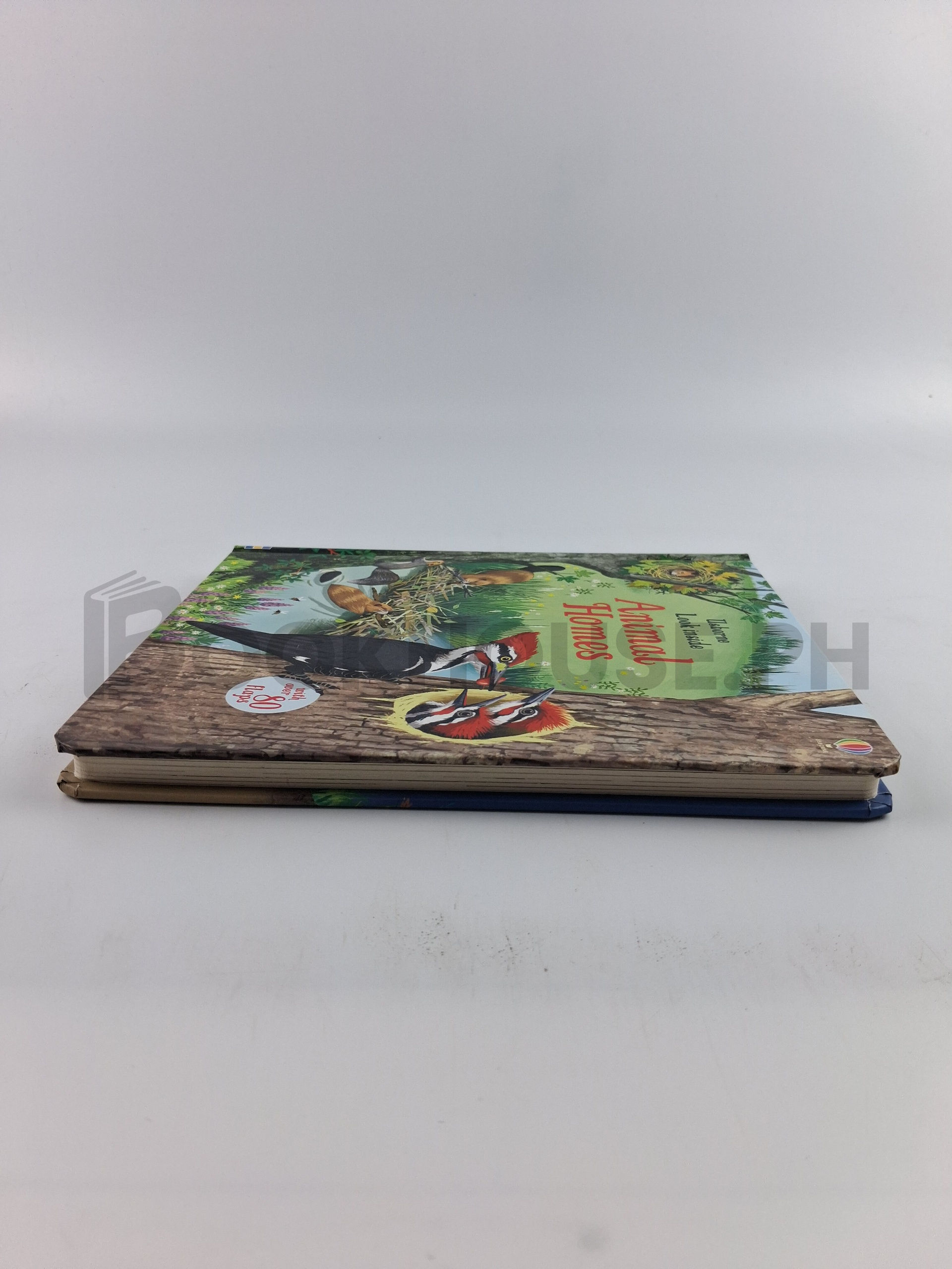 Look Inside Animal Homes by Emily Bone - Image 4