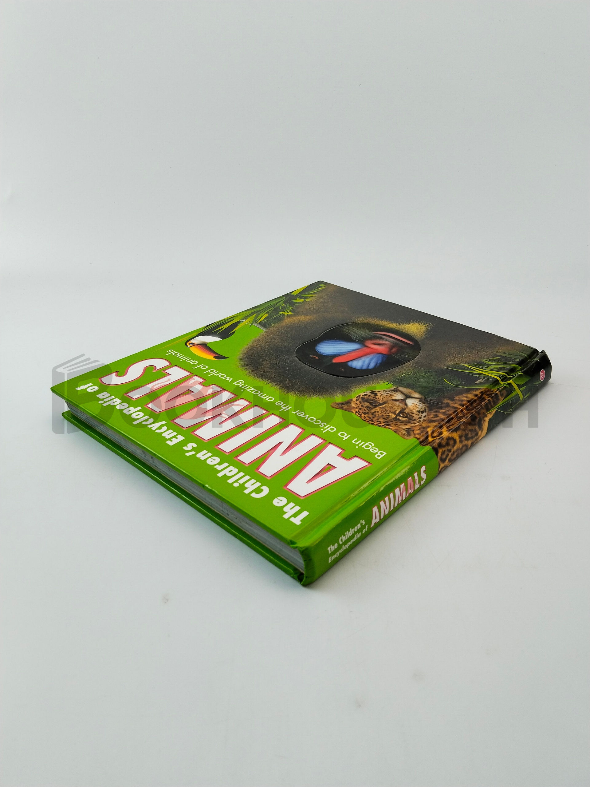 The Children's Encyclopedia Of Animals by Mandy Holloway - Image 2