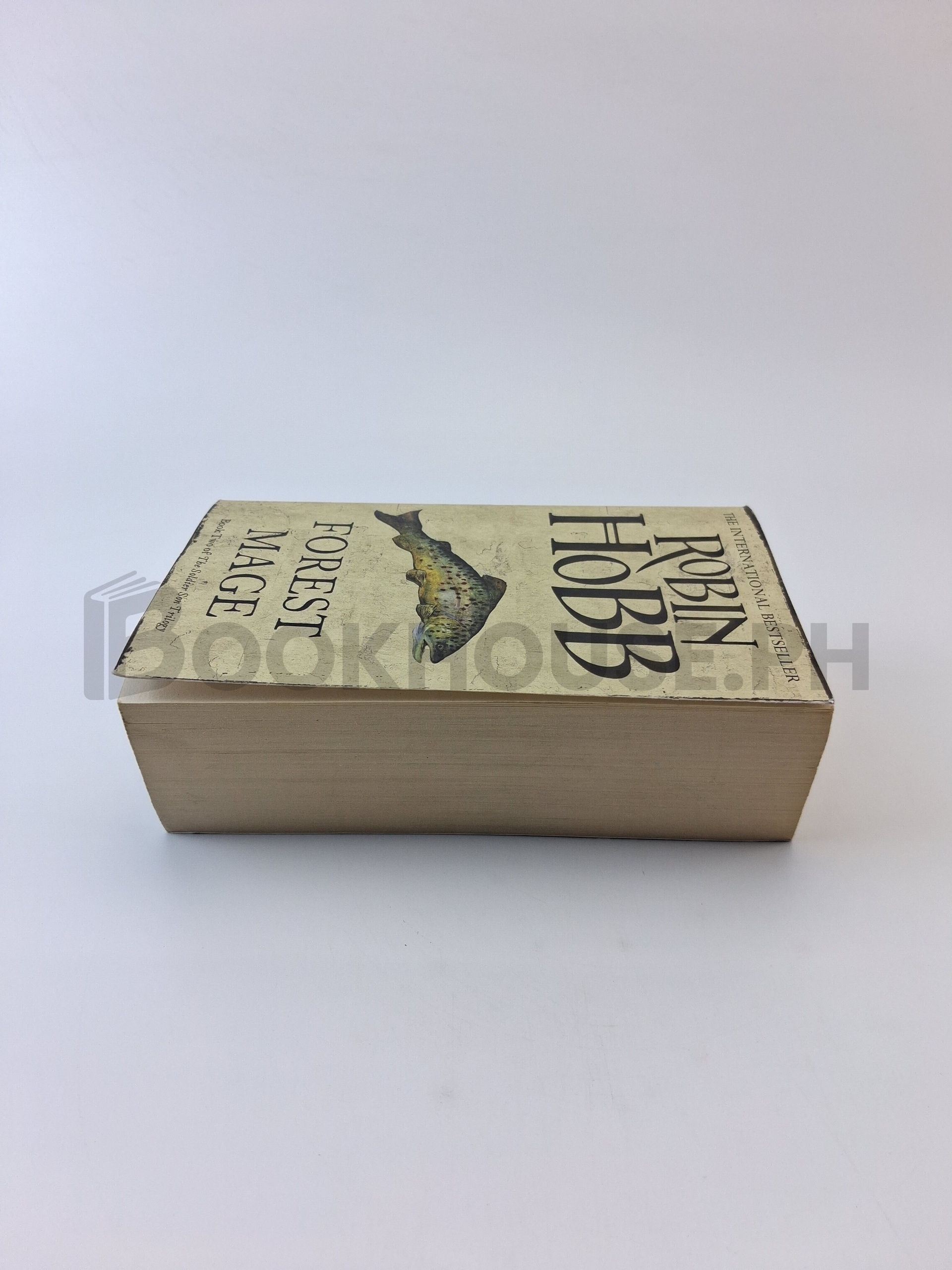 Forest Mage by Robin Hobb - Image 4