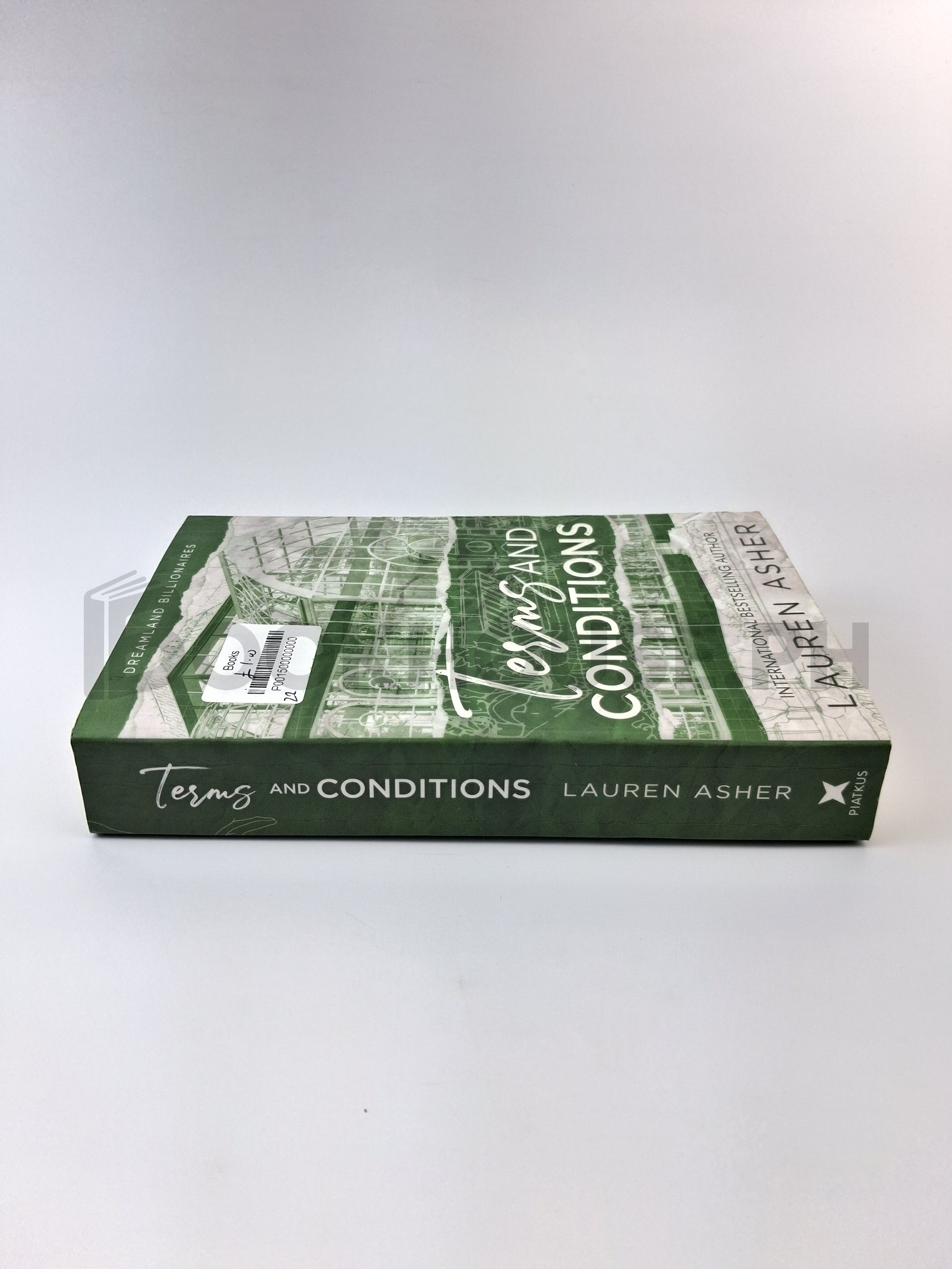 Terms And Conditions by Lauren Asher - Image 3