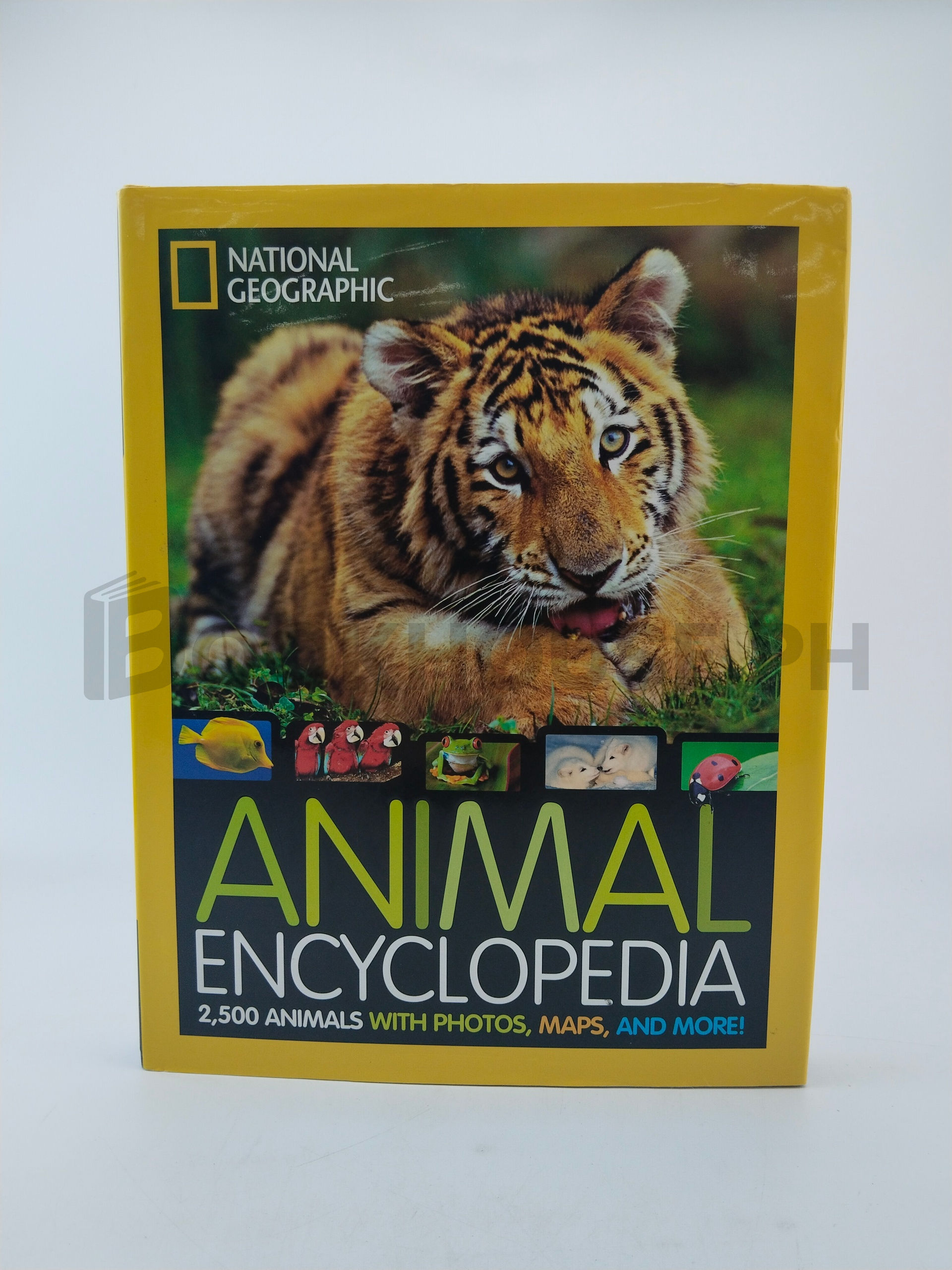 National Geographic Animal Encyclopedia by Lucy Spelman, Lucy H. Spelman
