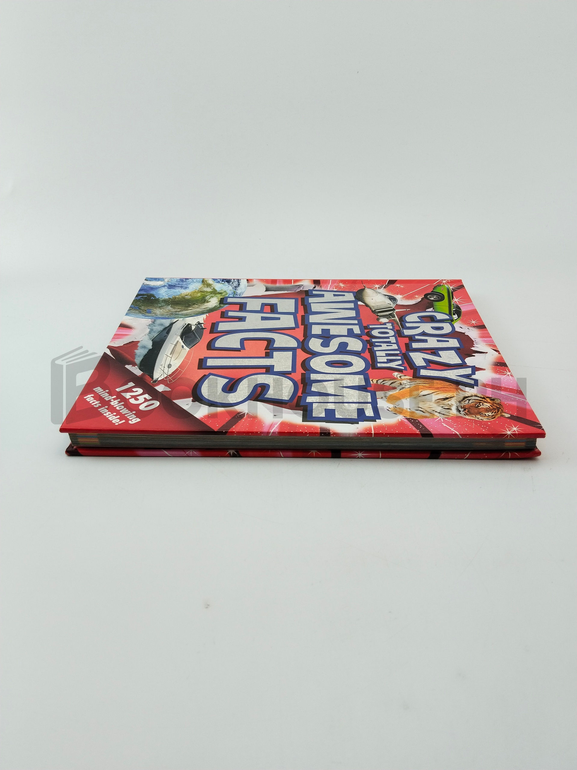 Crazy, Totally Awesome Facts by Little Bee Books - Image 4