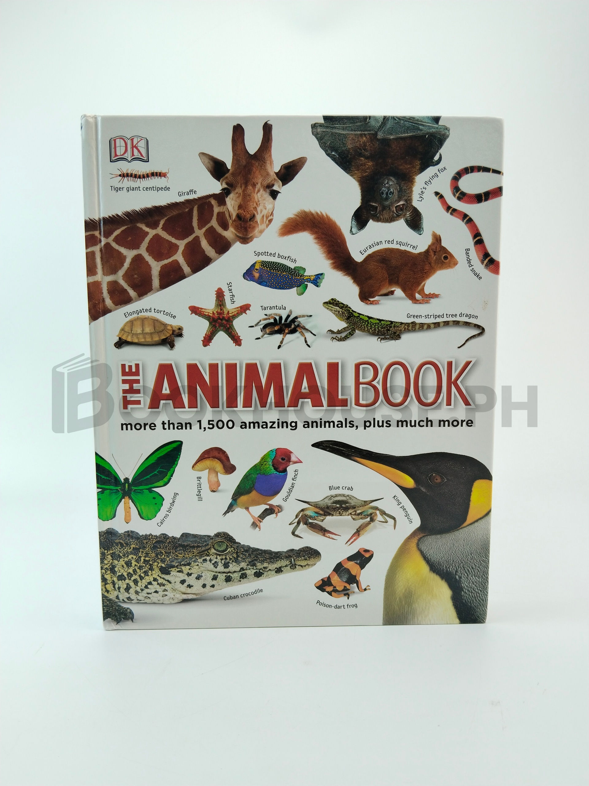 The Animal Book by Dk