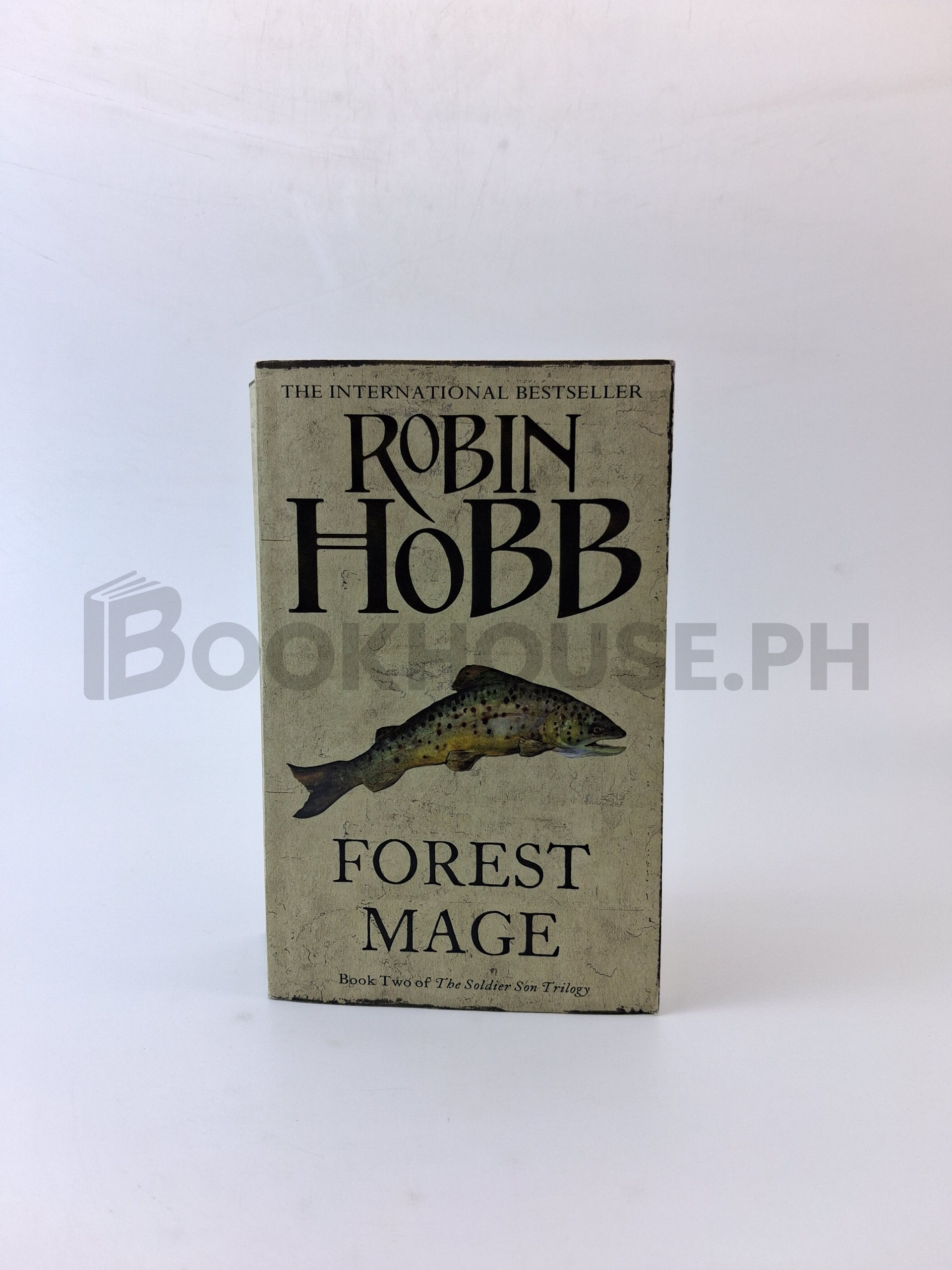 Forest Mage by Robin Hobb