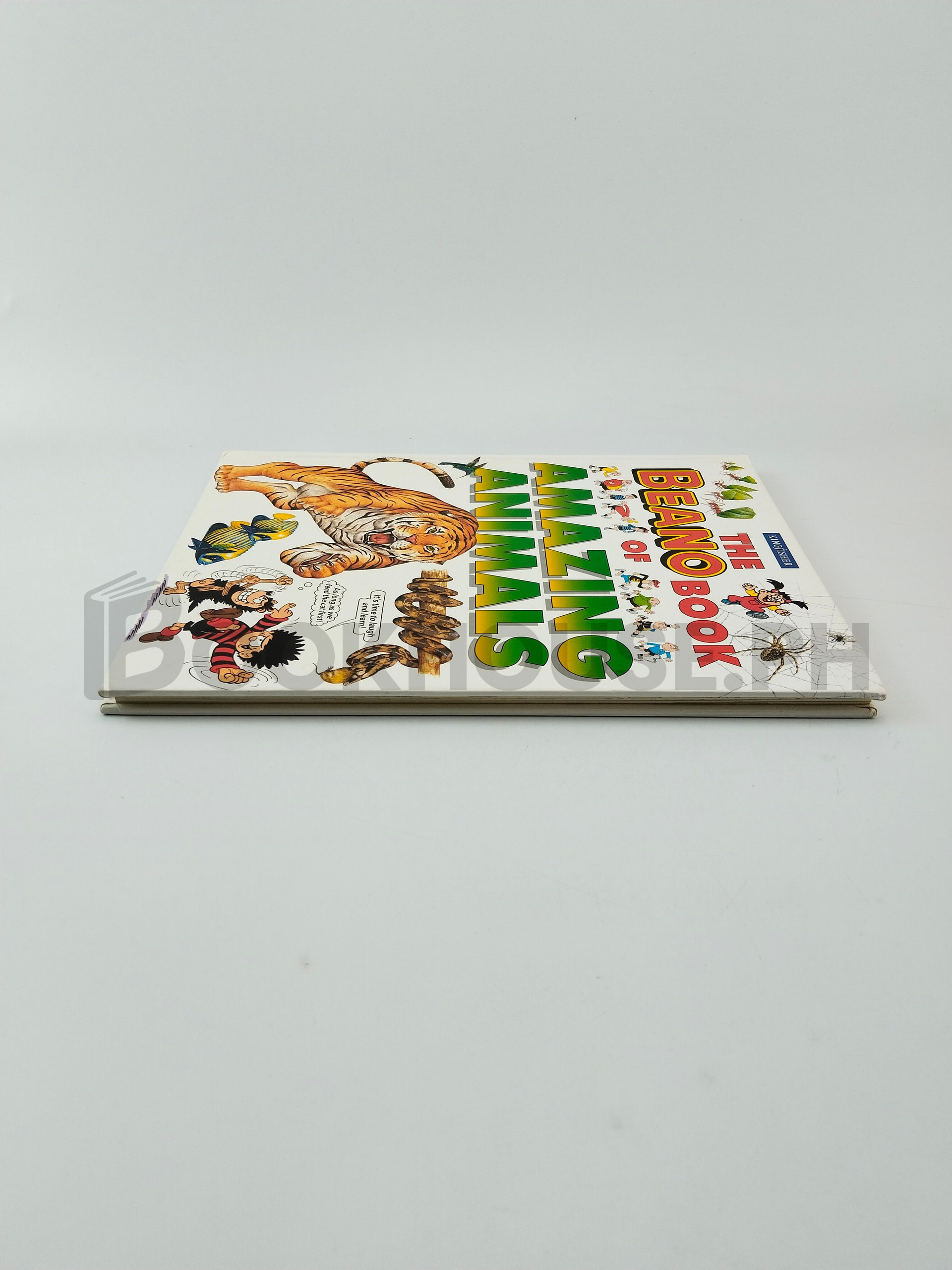 The Beano Book Of Amazing Animals by Anne Gatti - Image 4