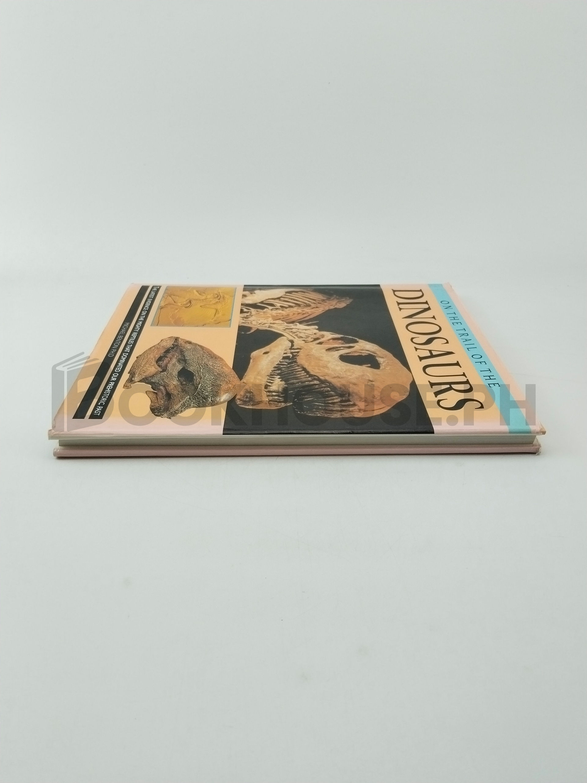 On The Trail Of The Dinosaurs by Michael J. Benton - Image 4