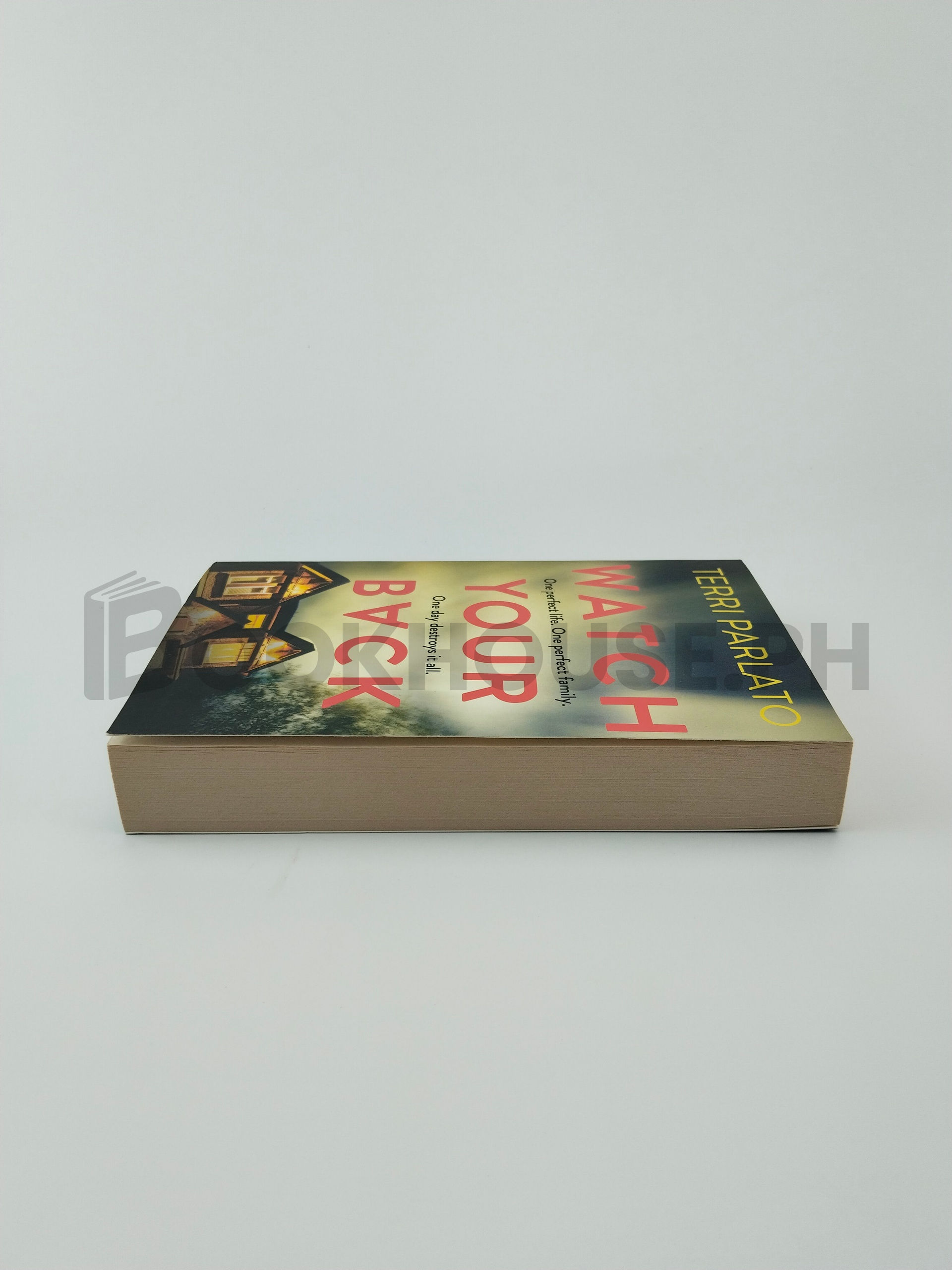 Watch Your Back by Terri Parlato - Image 4