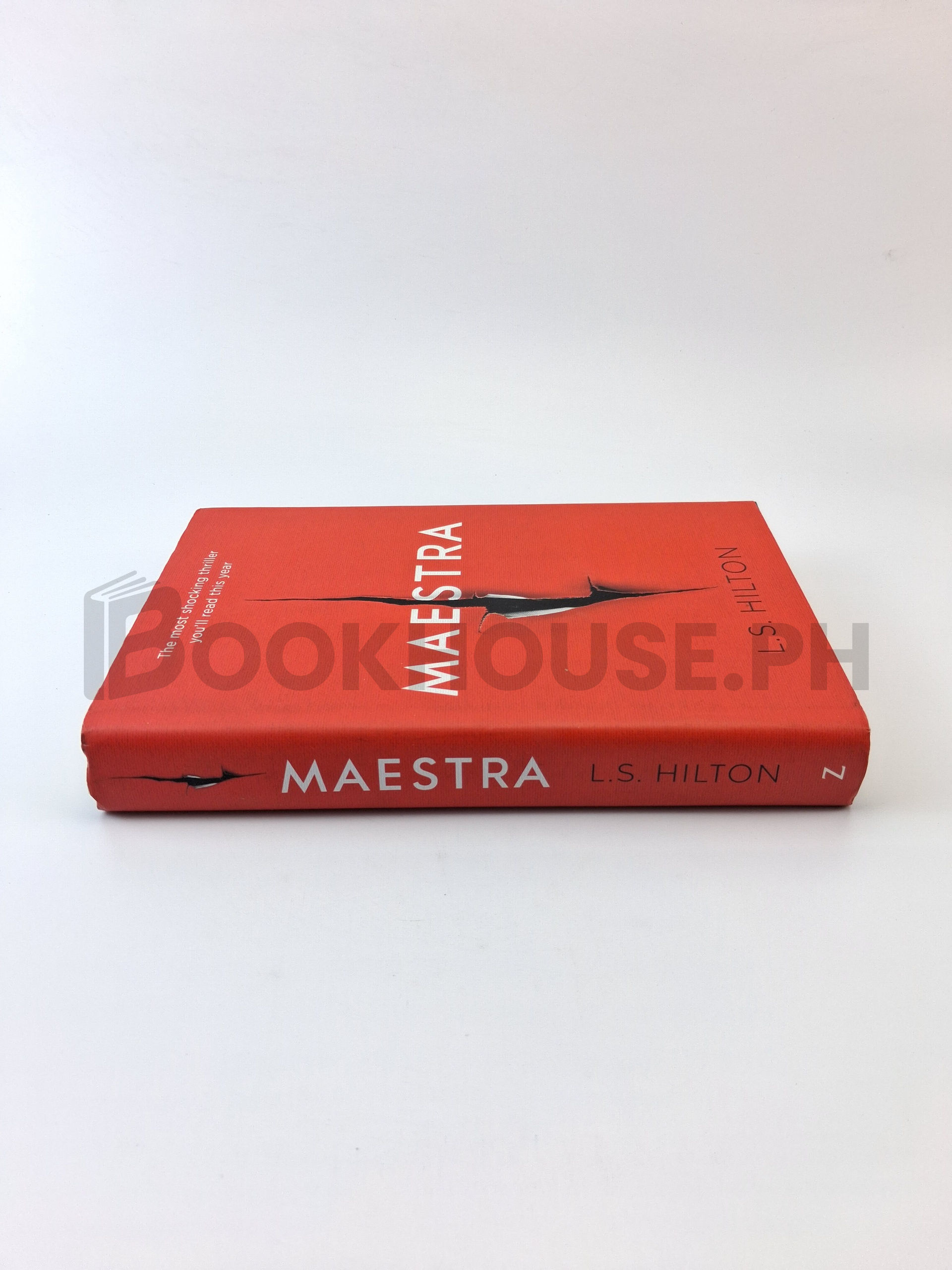 Maestra by L. S. Hilton - Image 3