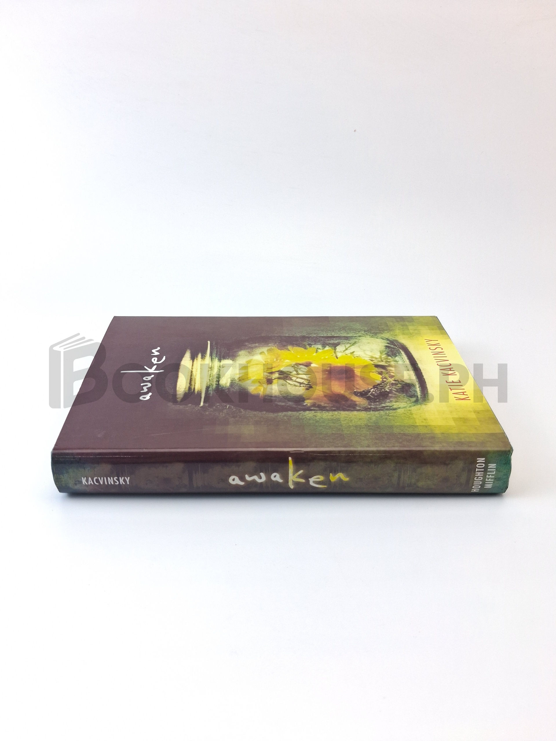 Awaken by Katie Kacvinsky - Image 3