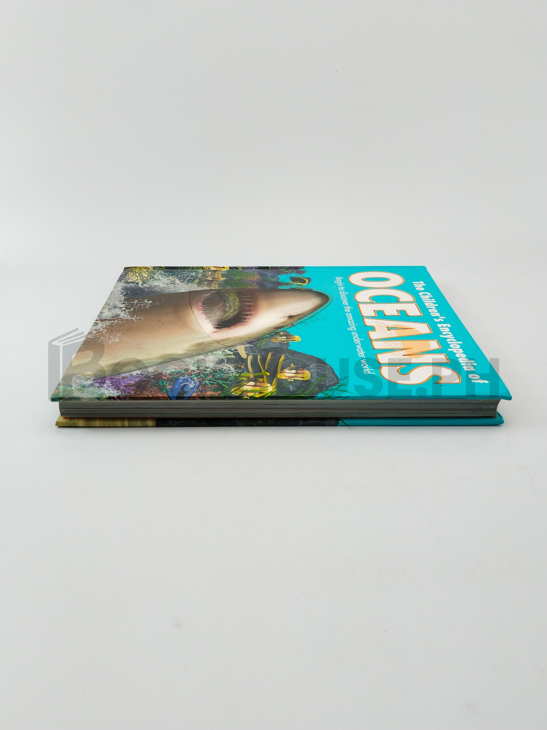 The Children's Encyclopedia Of Oceans by Sally Morgan, John Weinberg - Image 4