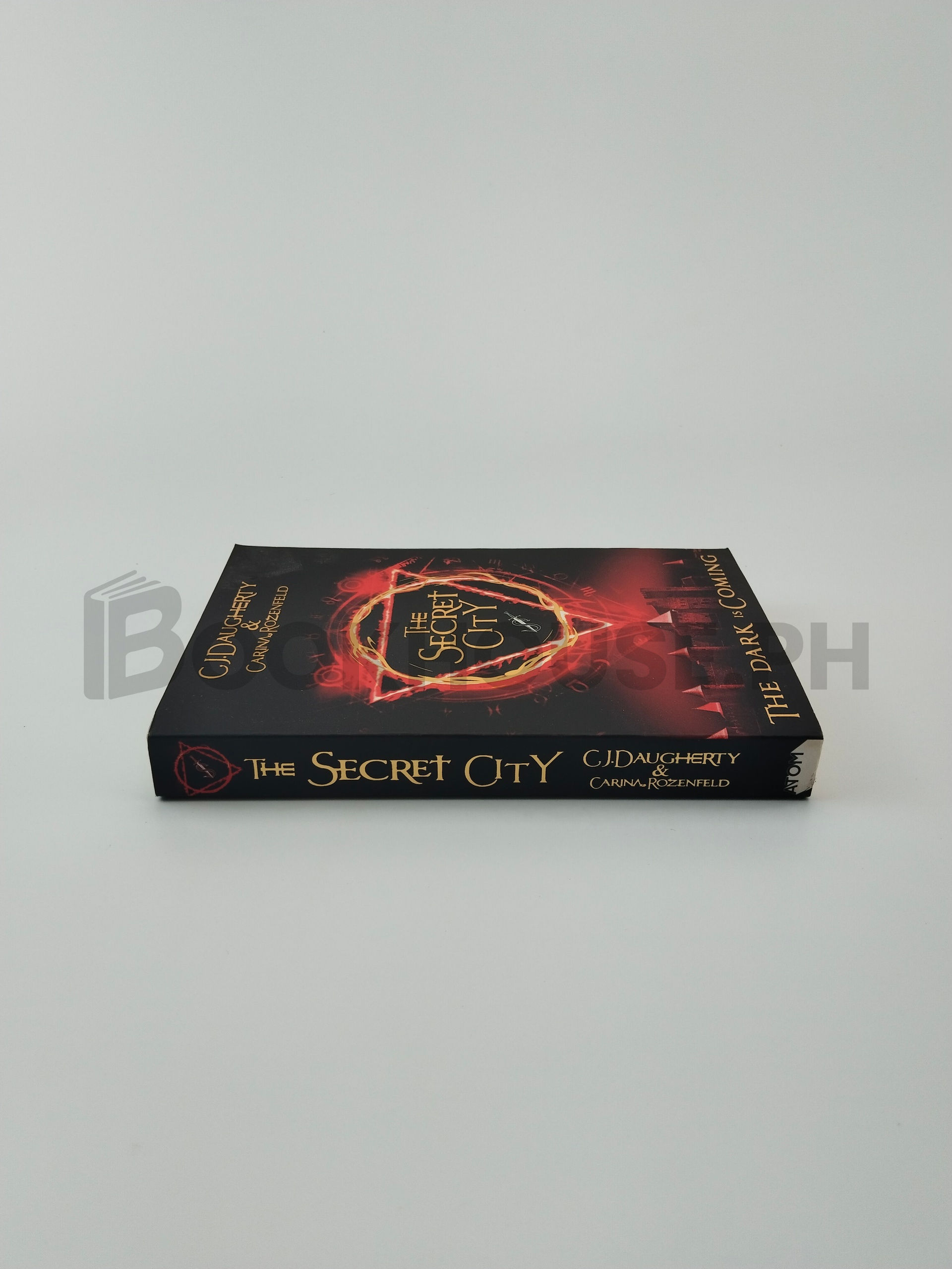 The Secret City by C. J. Daugherty, Carina Rozenfeld - Image 3