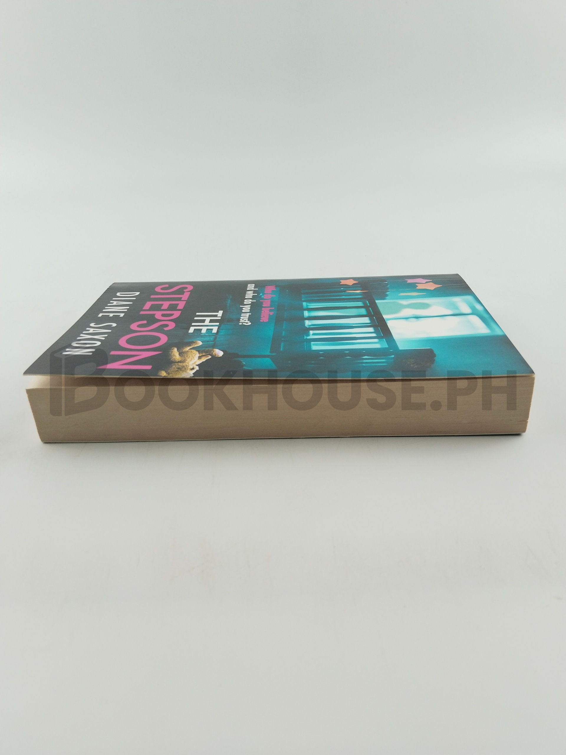 The Stepson by Diane Saxon - Image 4