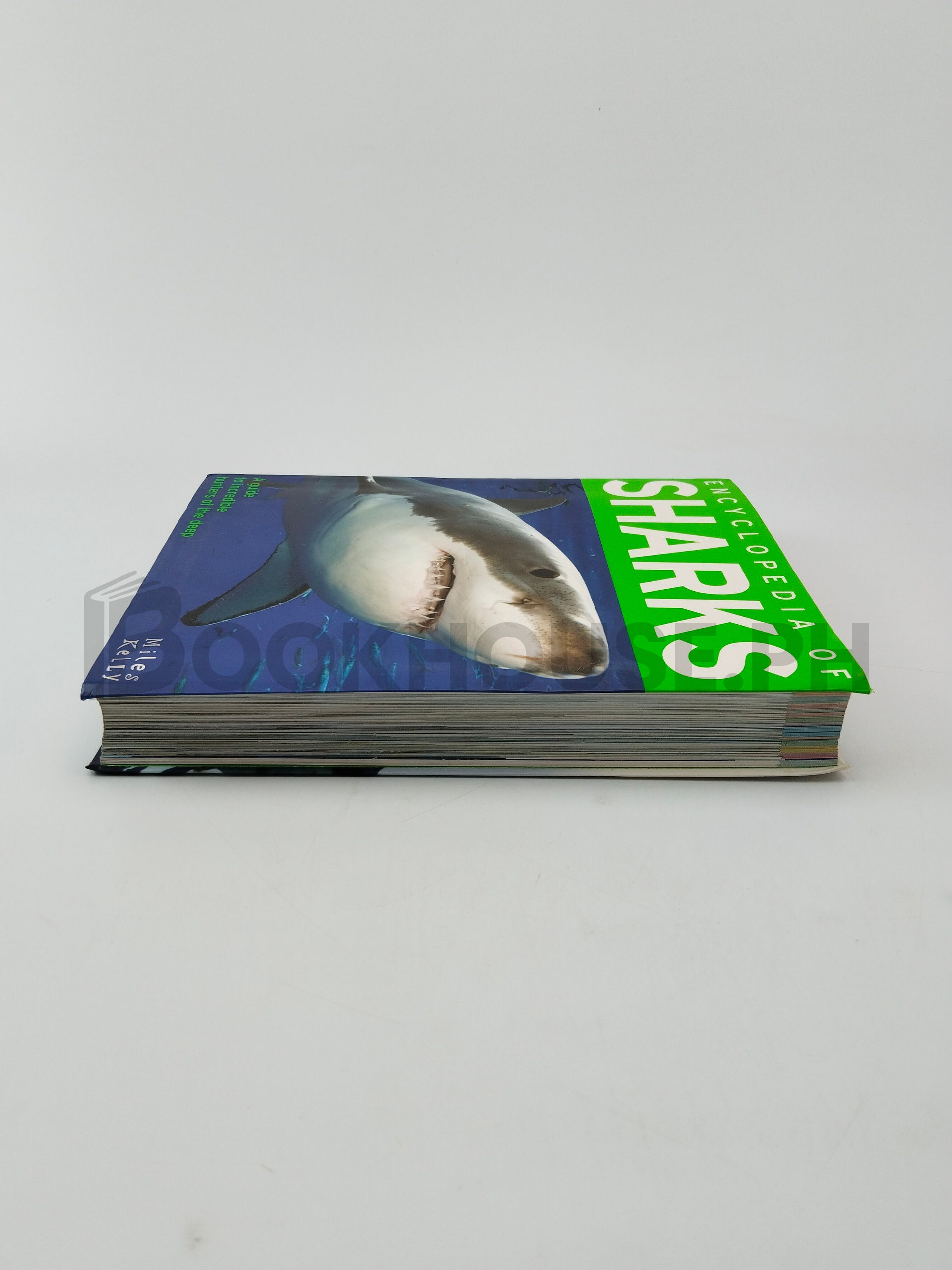 Encyclopedia Of Sharks by Anna Claybourne, Barbara Taylor - Image 4