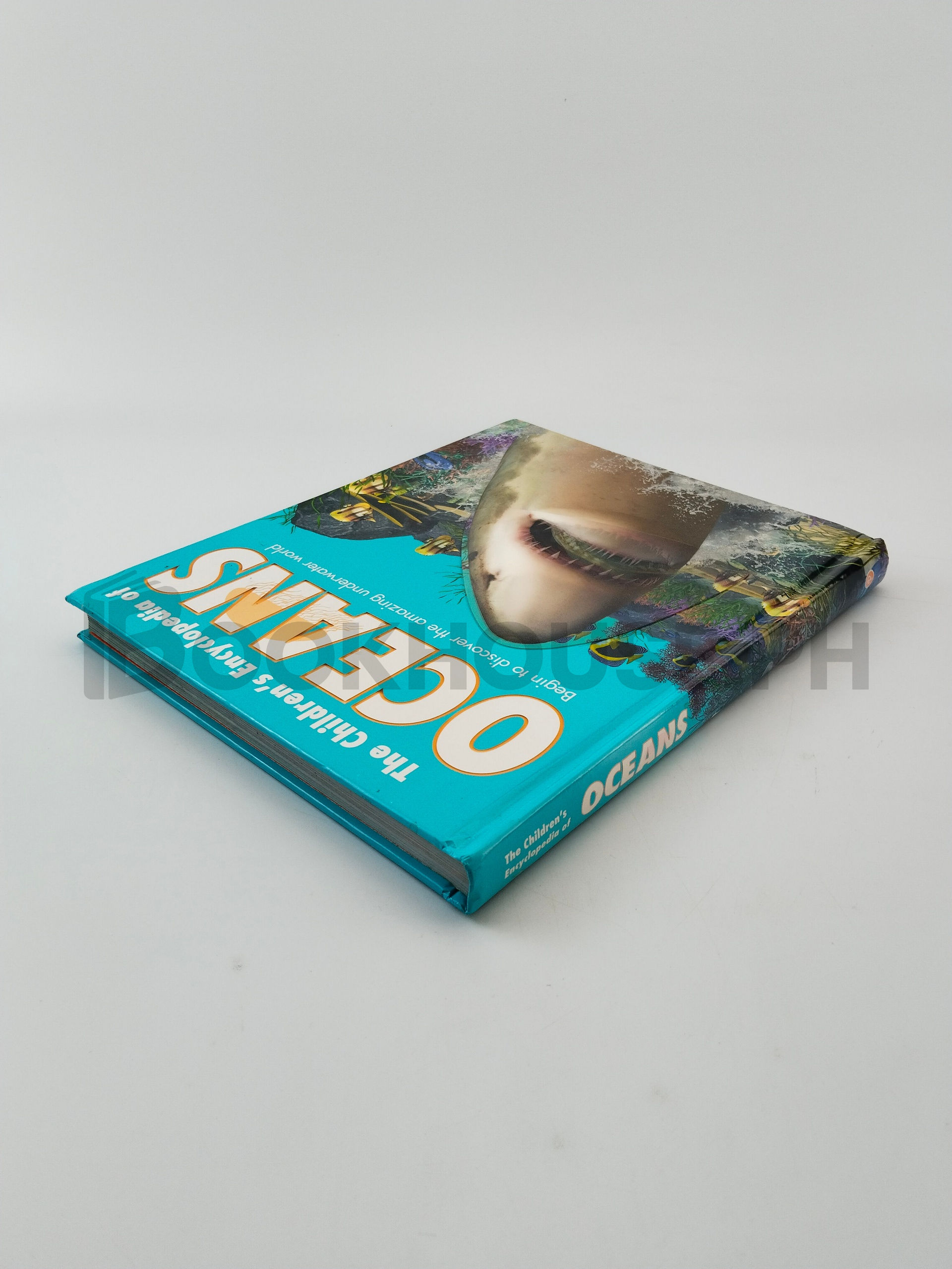 The Children's Encyclopedia Of Oceans by Sally Morgan, John Weinberg - Image 2