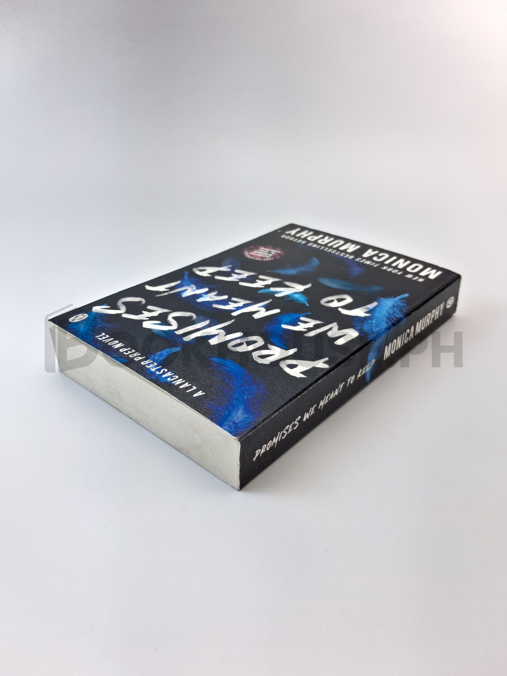 Promises We Meant To Keep by Monica Murphy - Image 2