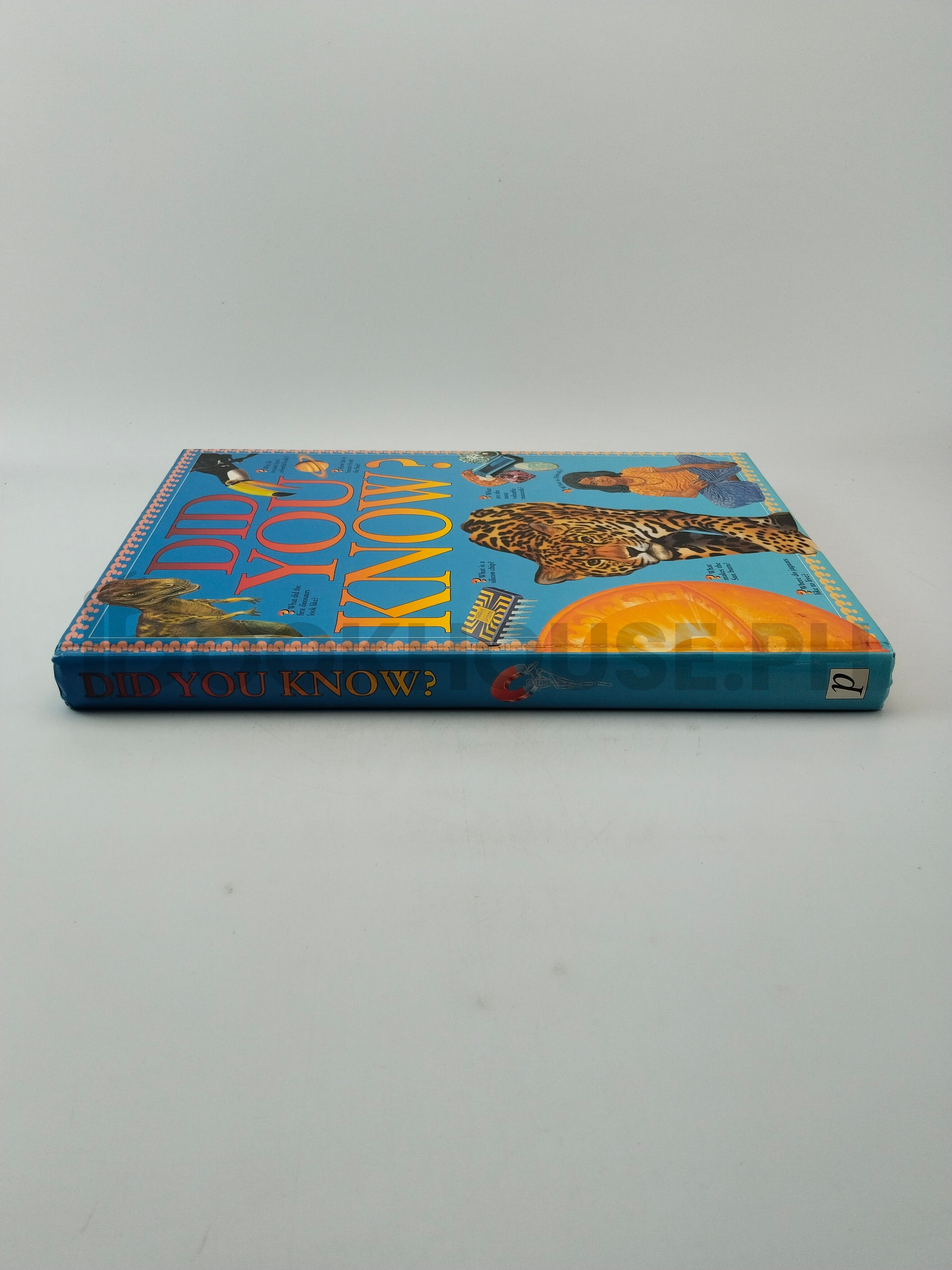 Did You Know? by Parragon - Image 3