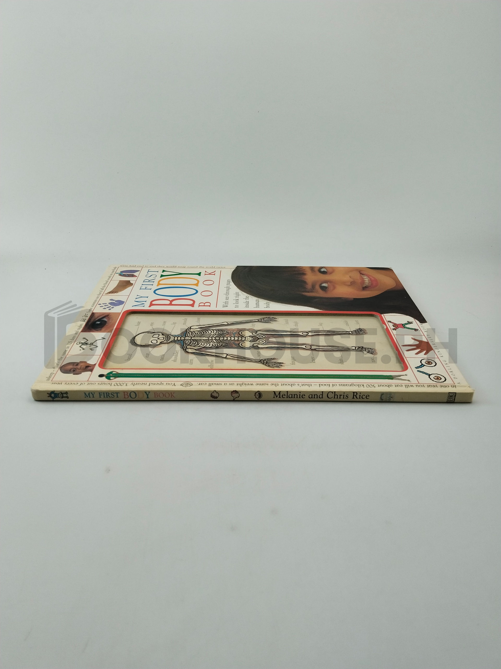 My First Body Book by Melanie Rice - Image 3