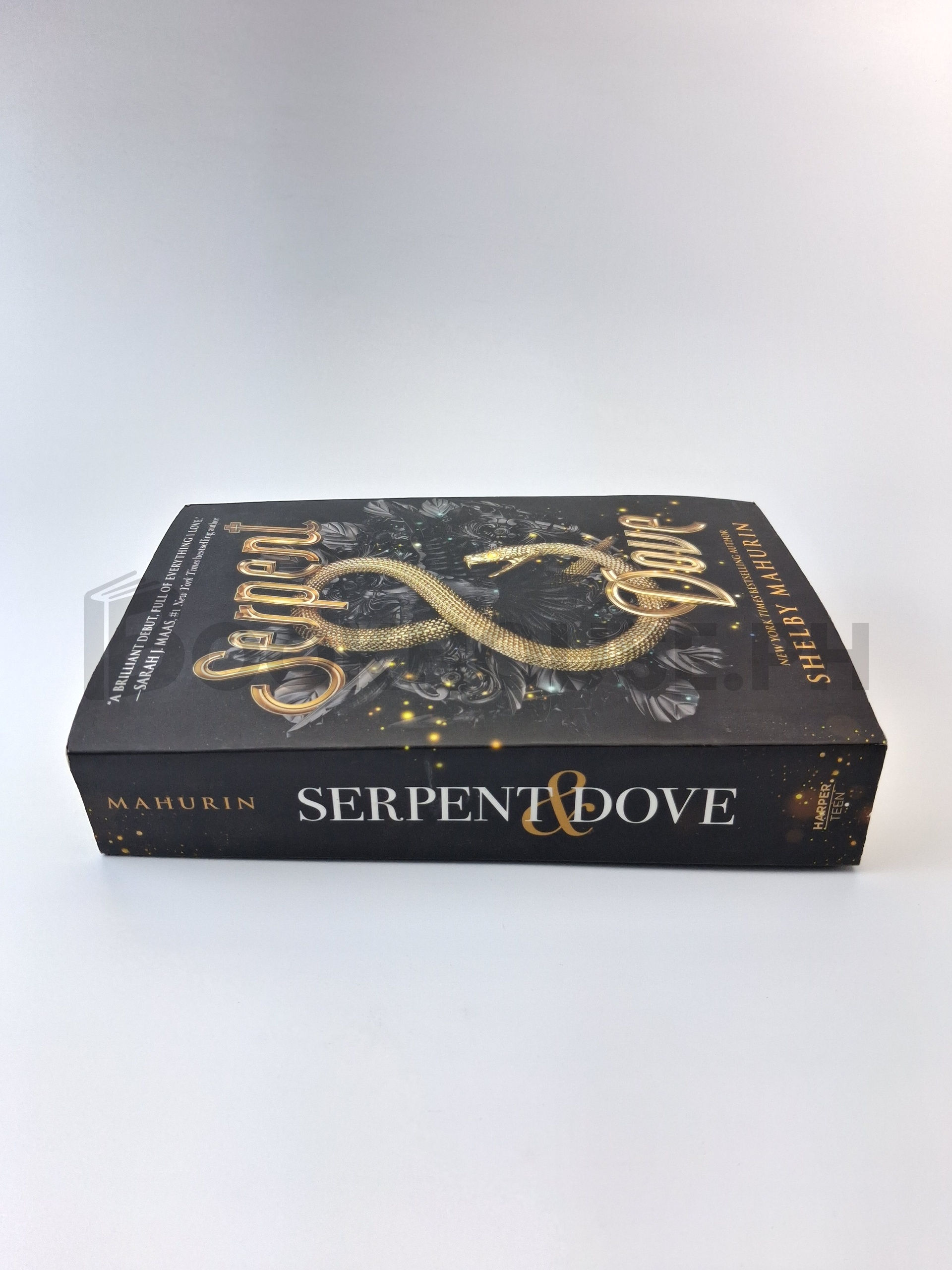 Serpent & Dove by Shelby Mahurin - Image 3