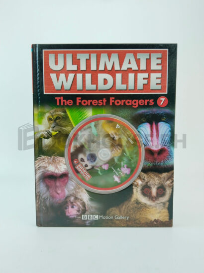 Ultimate Wildlife The Forest Foragers by Bbc Motion Gallery