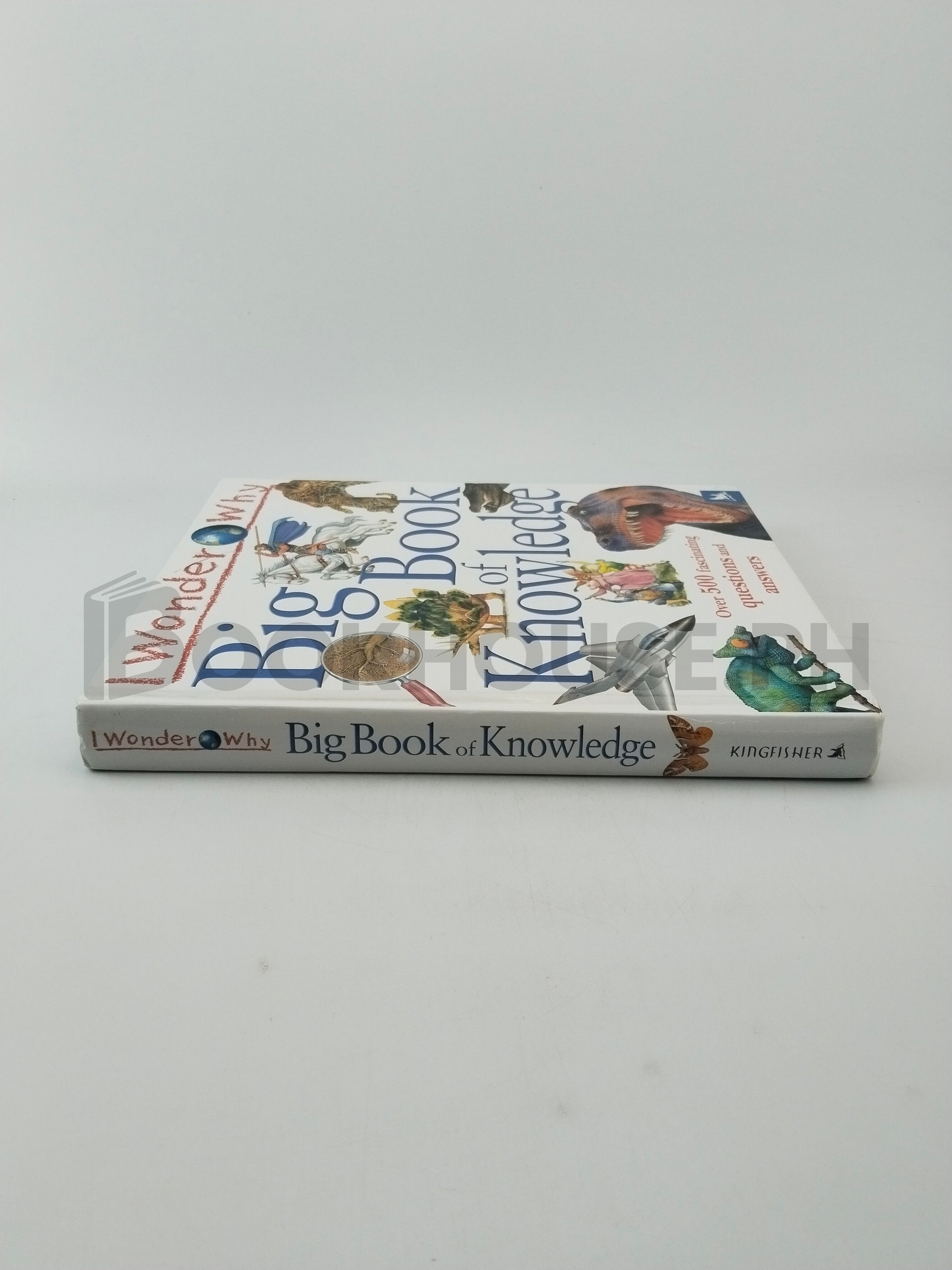 I Wonder Why Big Book Of Knowledge by Kingfisher Publications, Plc - Image 3