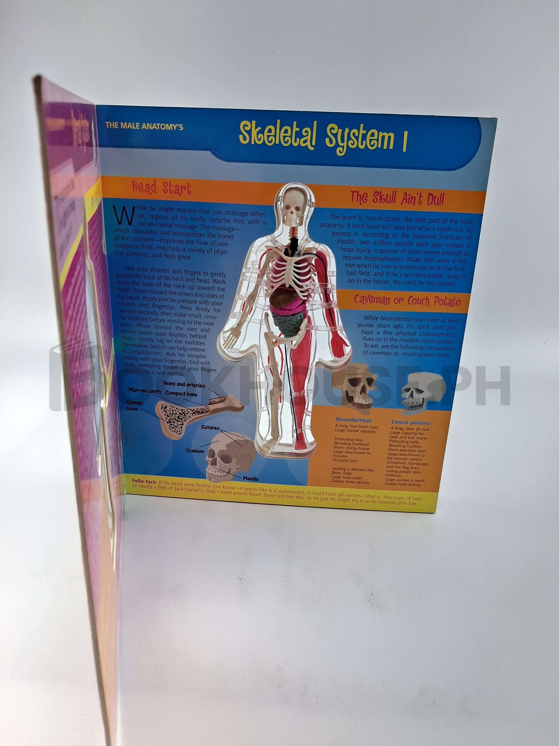 The Male Anatomy-- And Other Laughing Matters by Jennifer Worick - Image 5