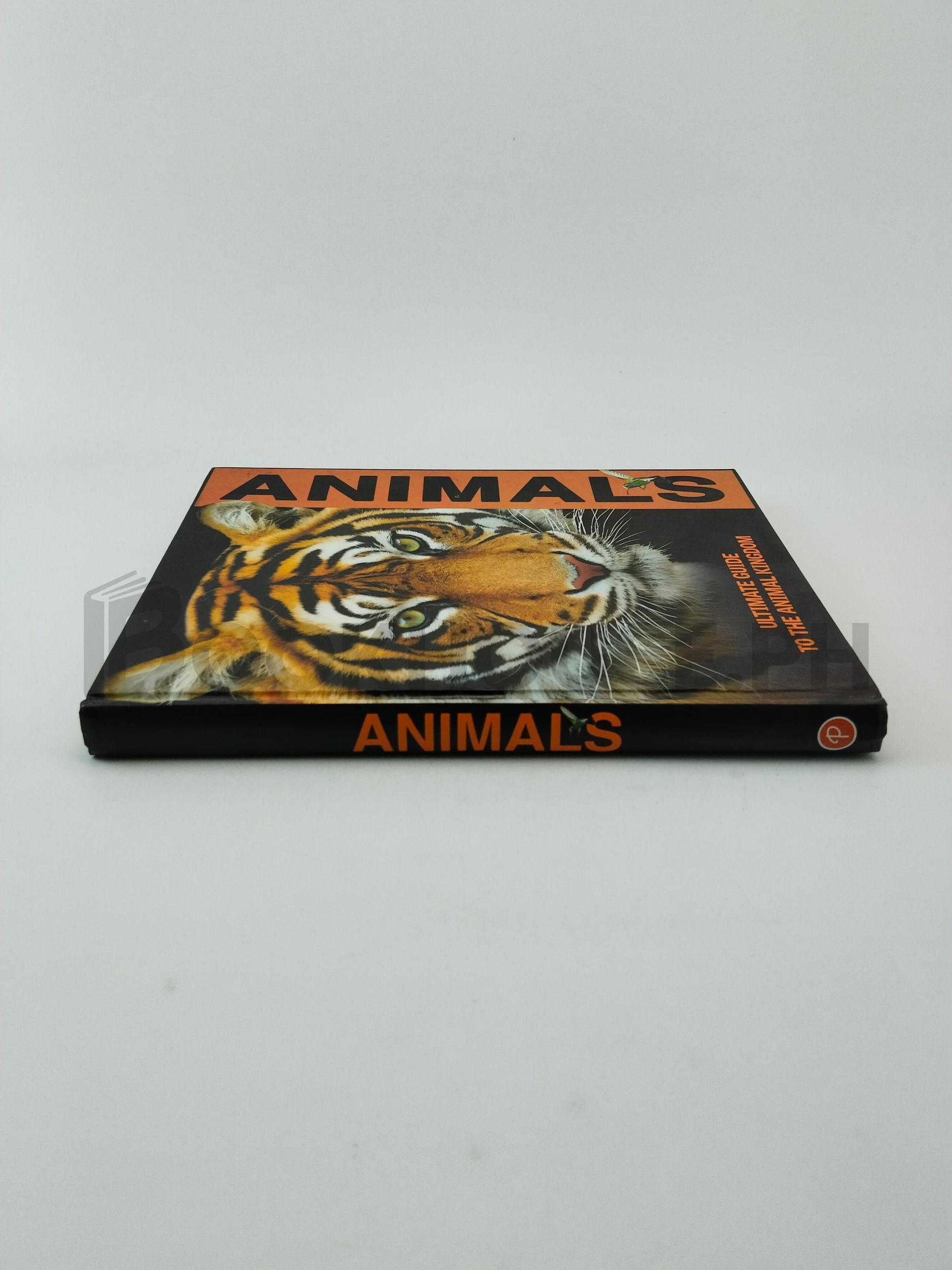 Animals by Parragon - Image 3