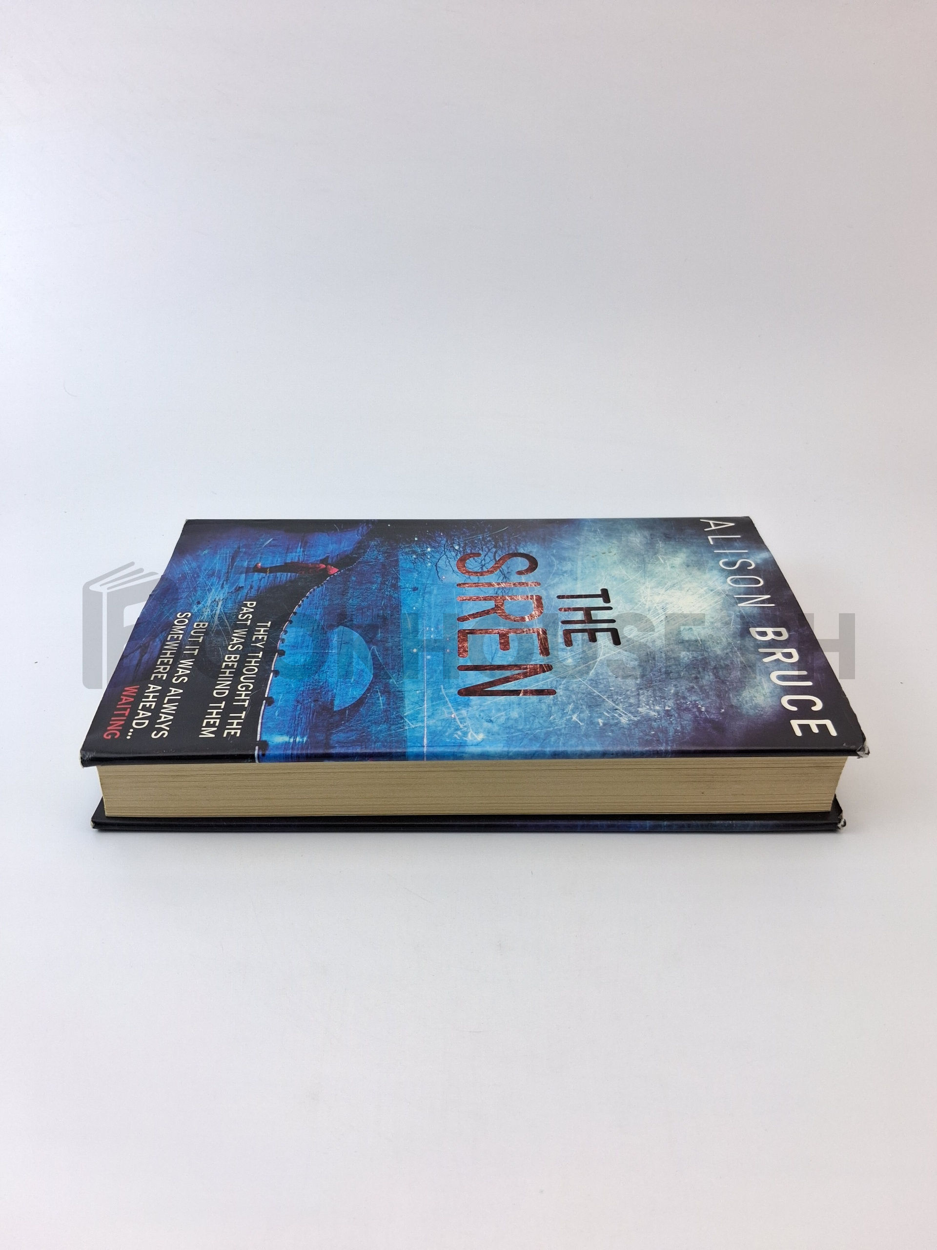 The Siren by Alison Bruce - Image 4