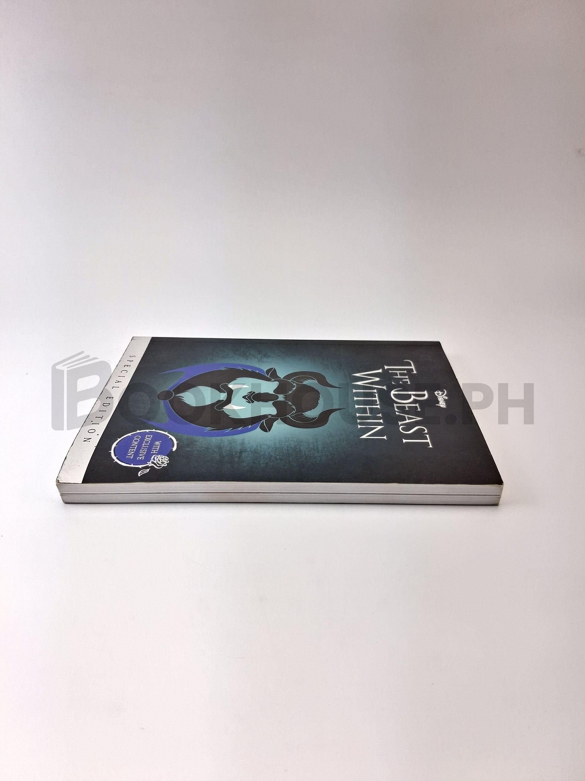 The Beast Within by Vallentino, Serena, Igloo (firm) - Image 4